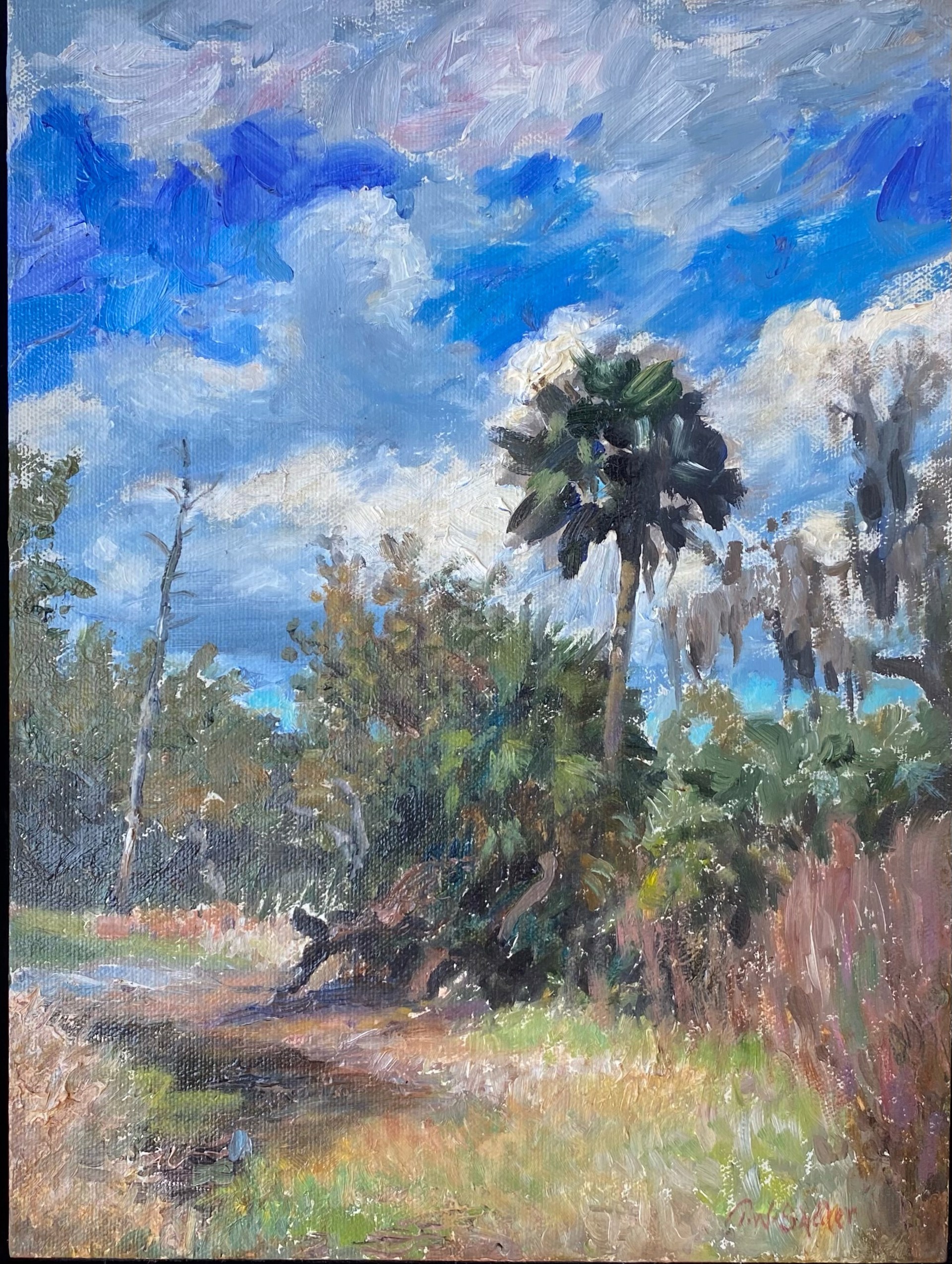 Path at Lake Prevatt by Tom Sadler
