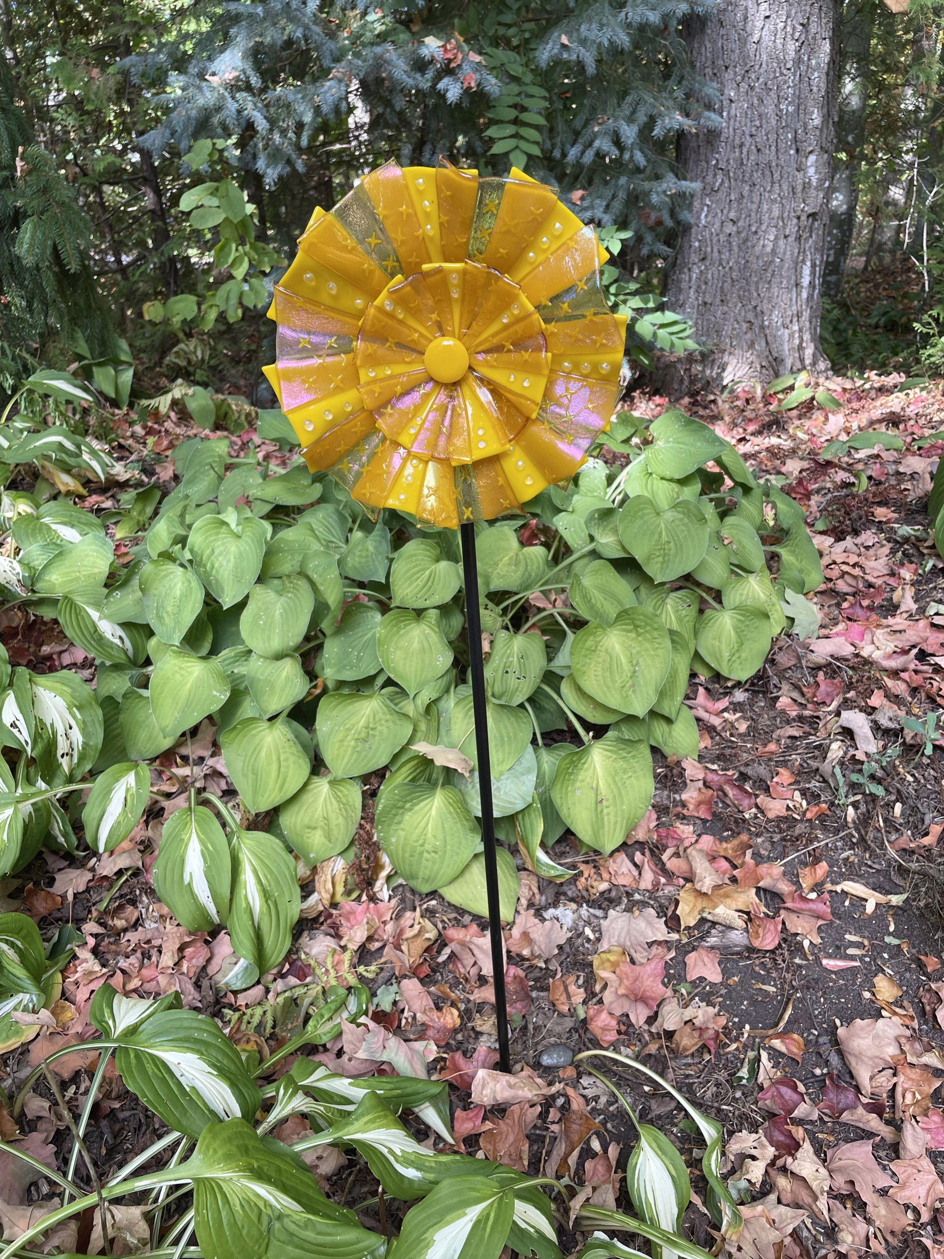 Large Garden Flower by Doug and Barbara Henderson