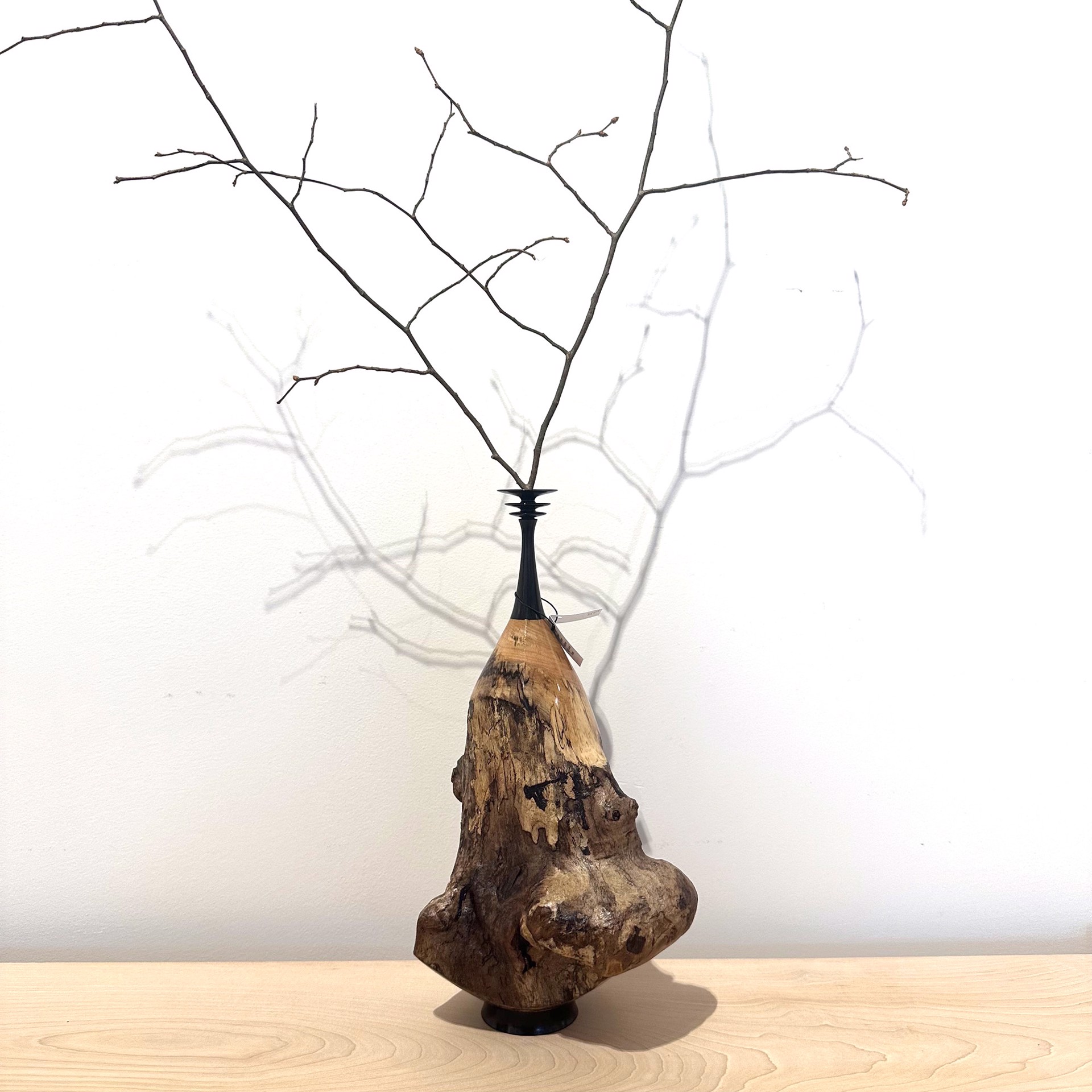 Blackwood and Ebonized Hardwood and Spalted Maple Branch Vase by Paul Gray Diamond