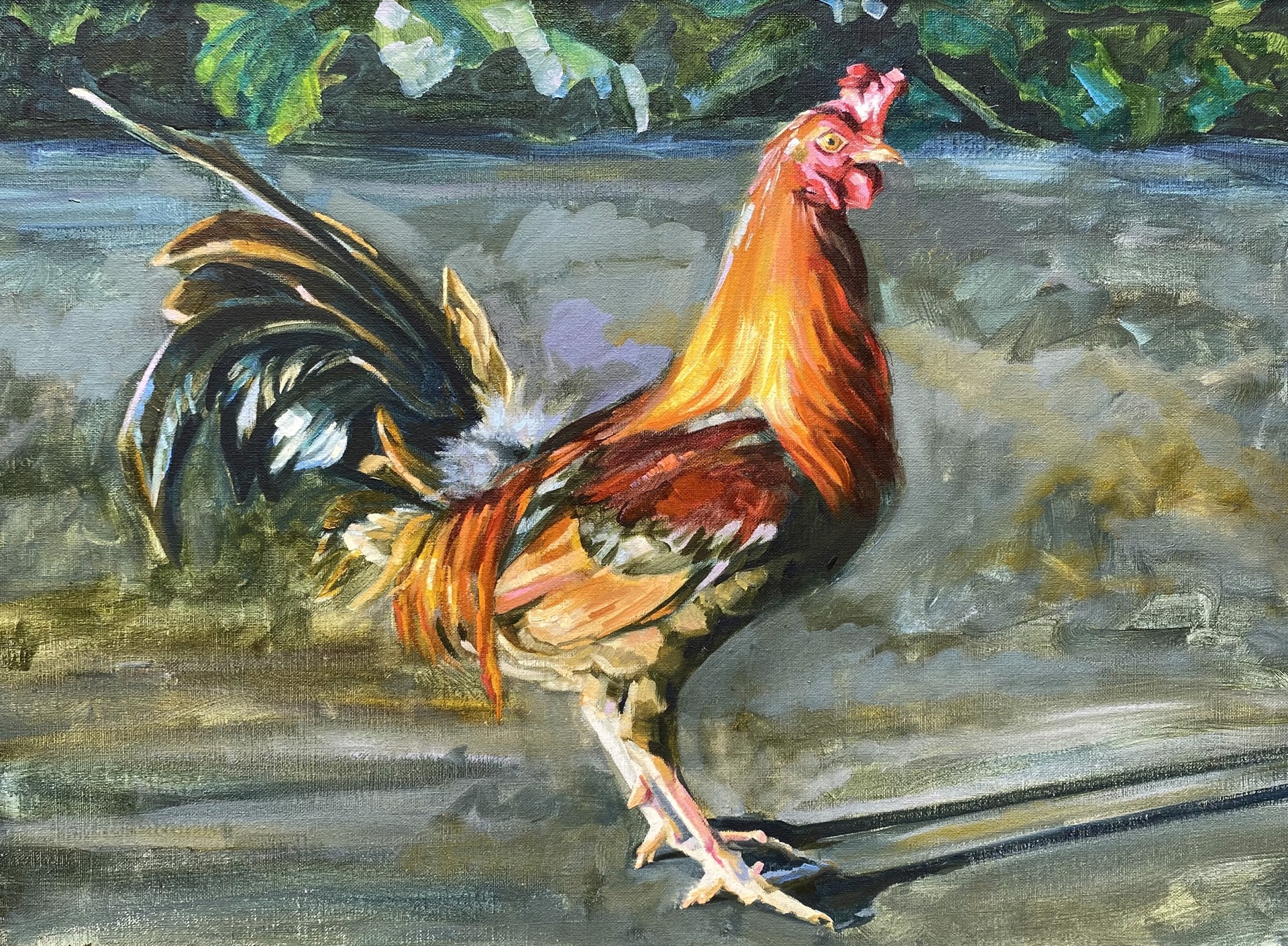 Rusty Pinklegs by Louise Ann Donahue