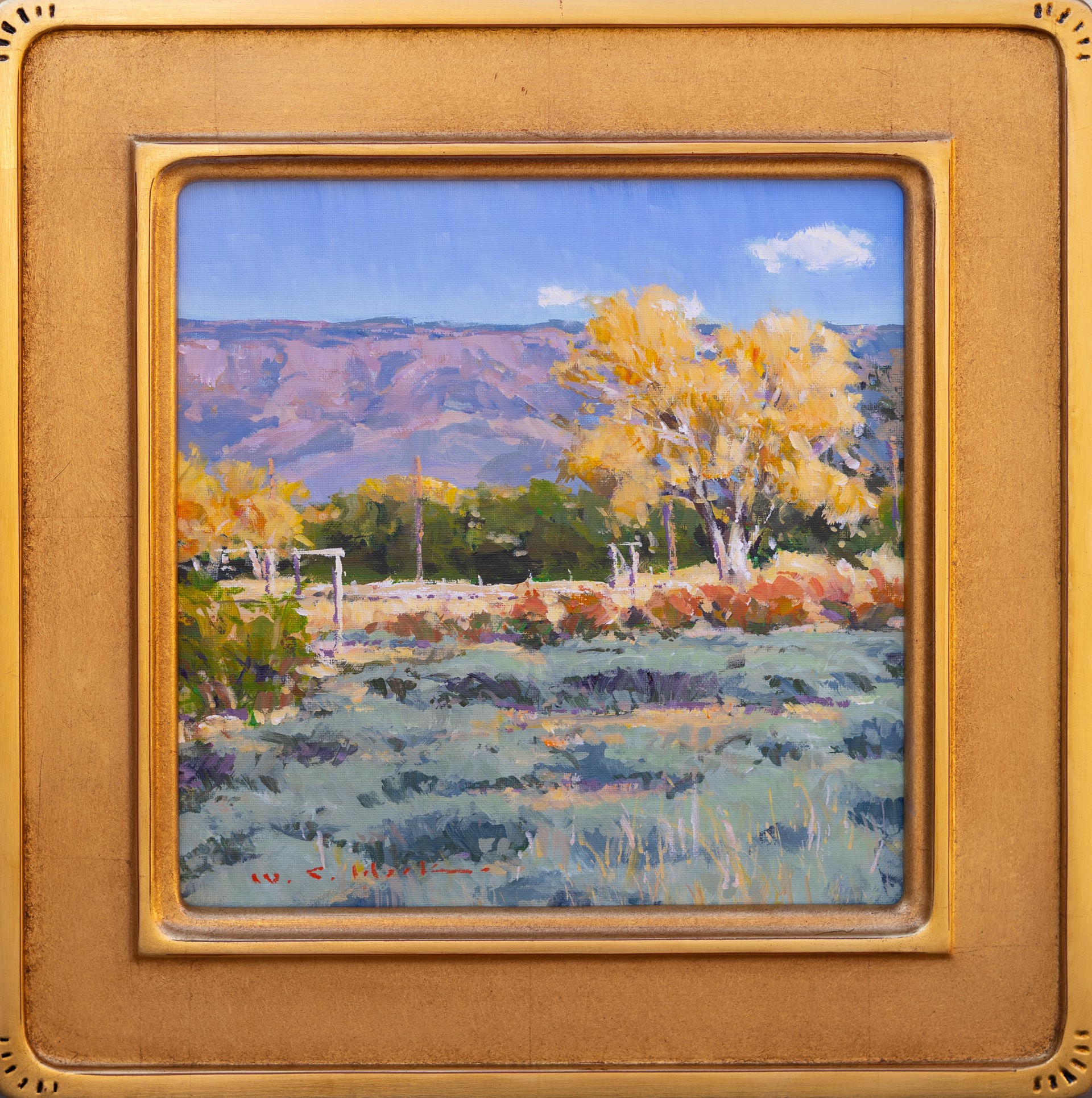 Lavender Fields by William C. Hook