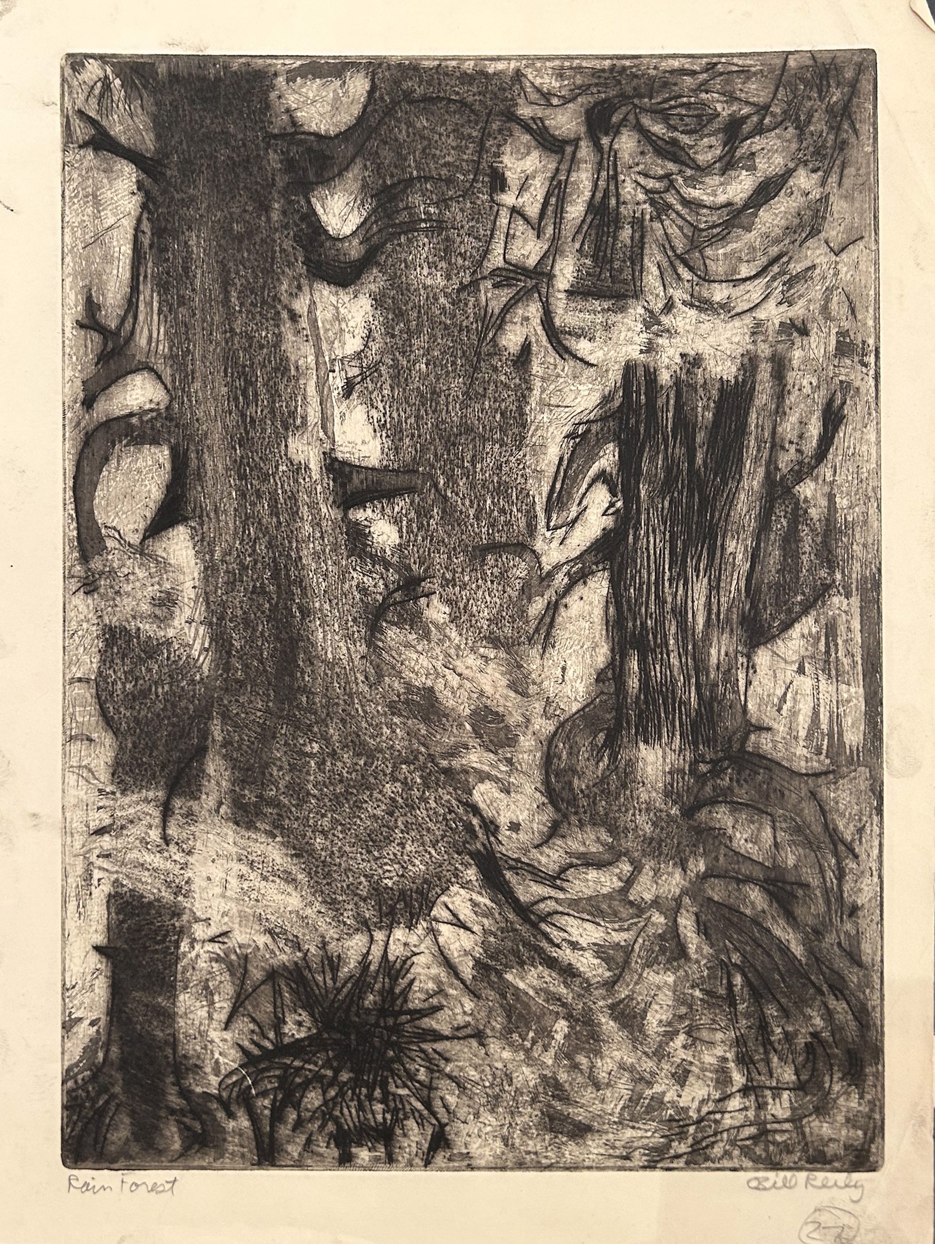 27b. Rain Forest by Bill Reily - Prints