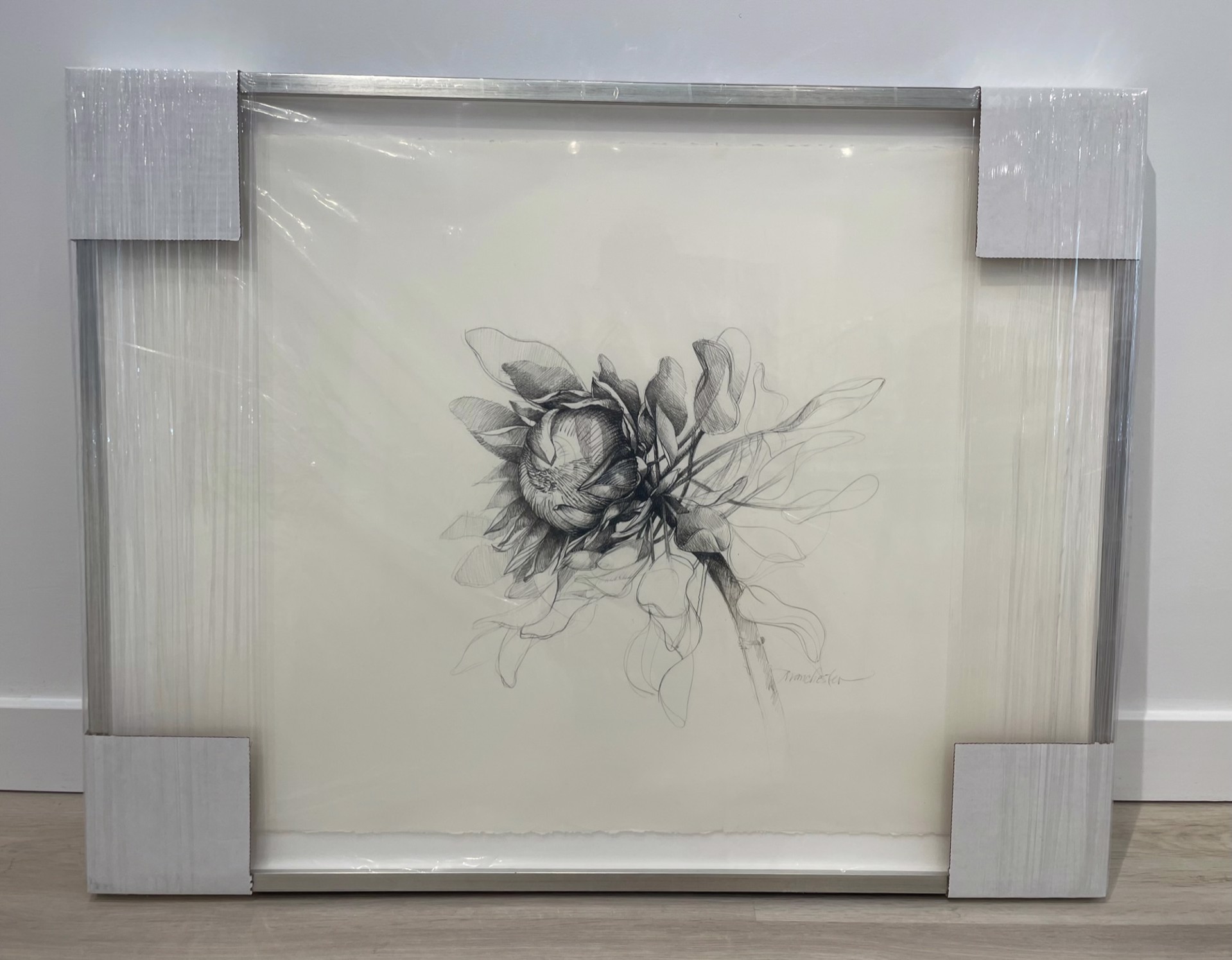 Fiori: Queen Protea (framed white gold) by Susan Manchester