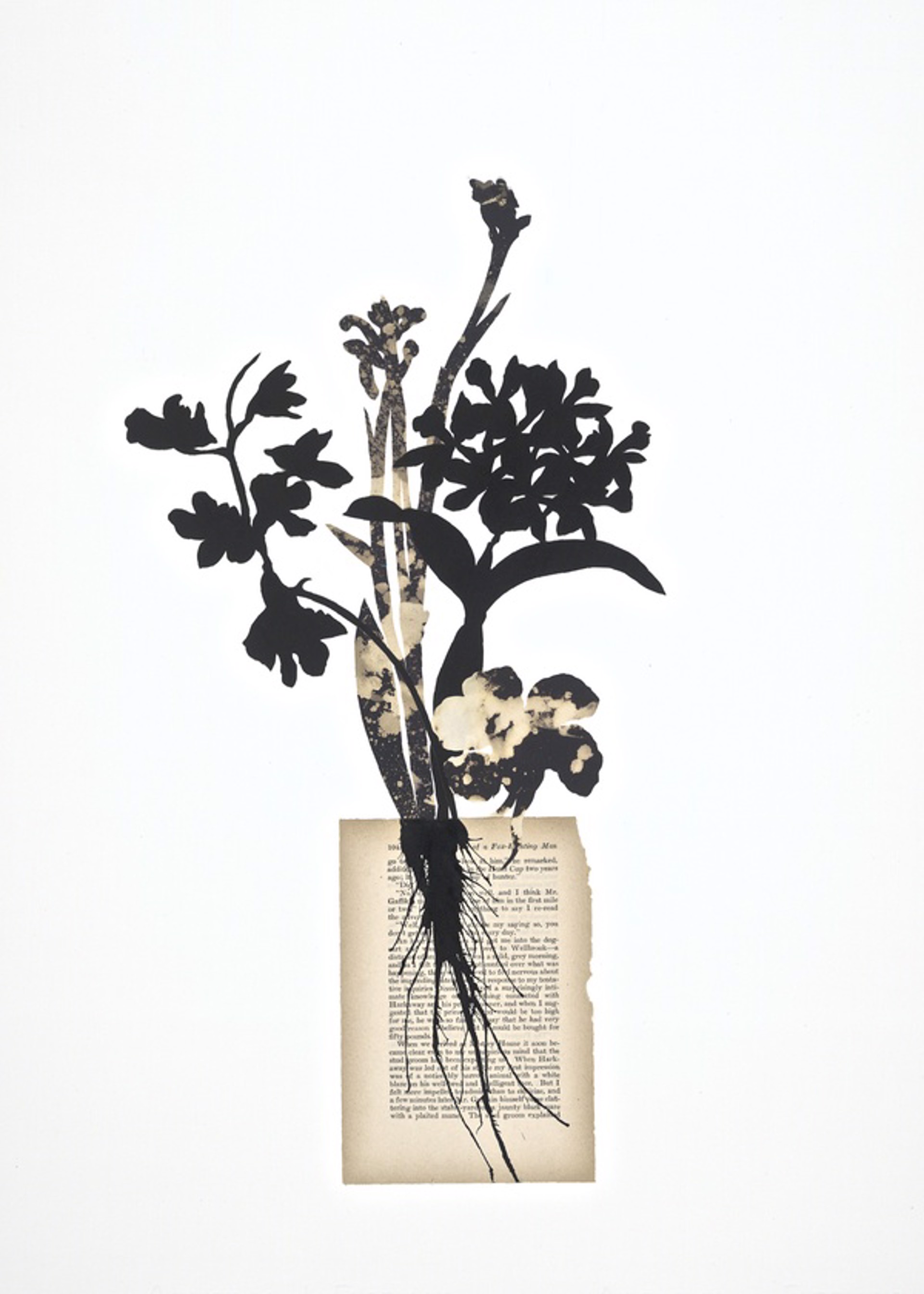 Midnight Blooms V by Deborah Weiss