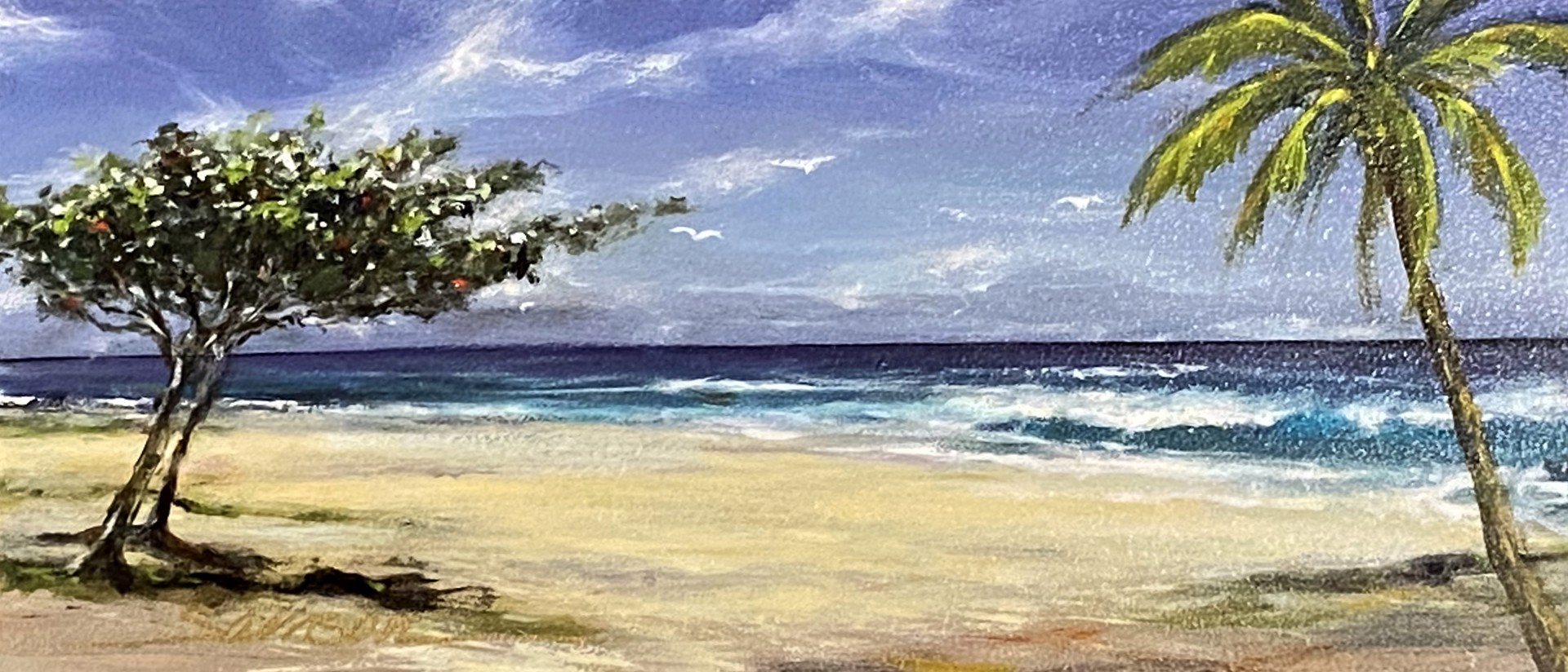Sandy Beach, Oʻahu by Lee Samson