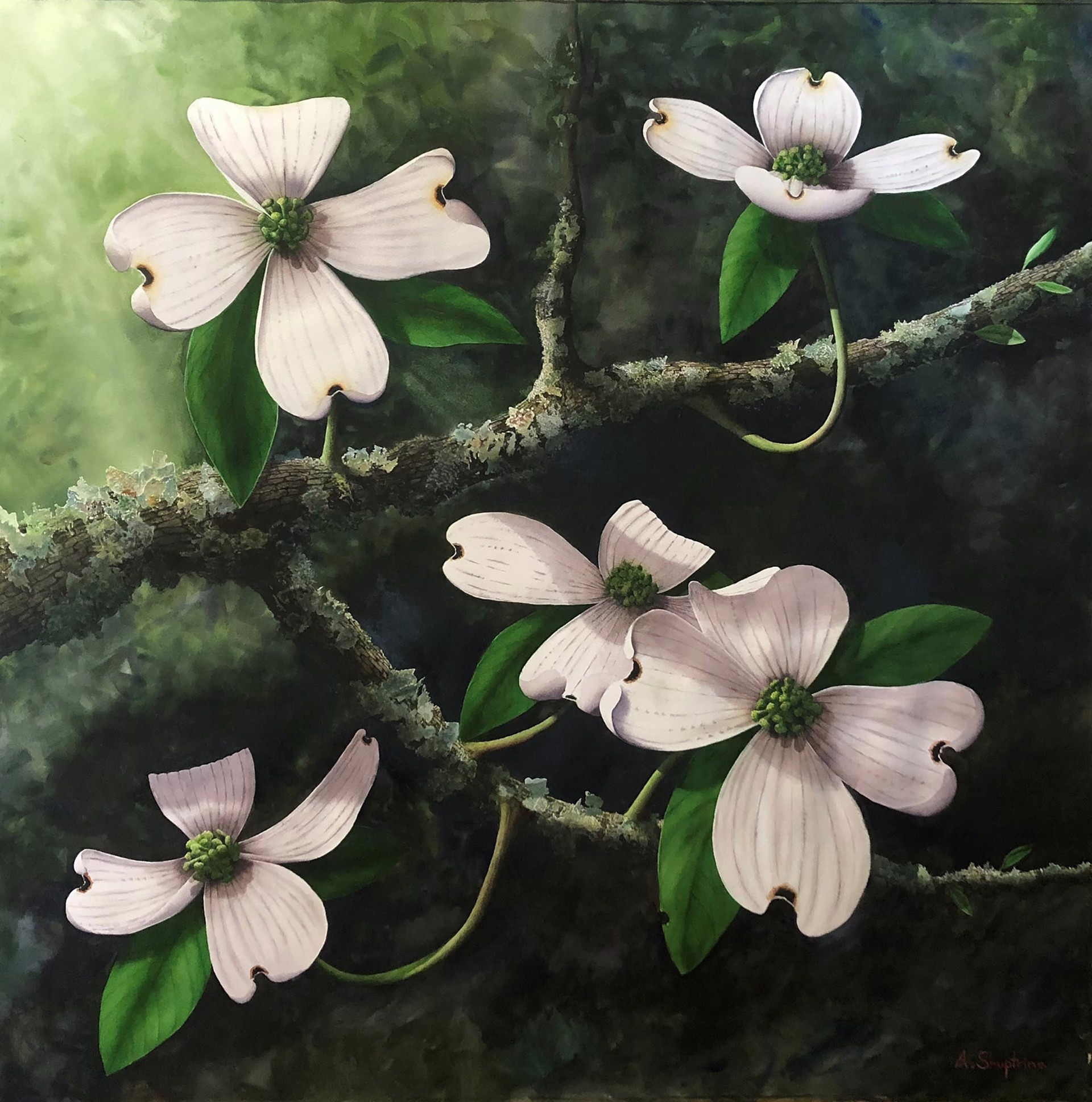 Renewal by Alan Shuptrine