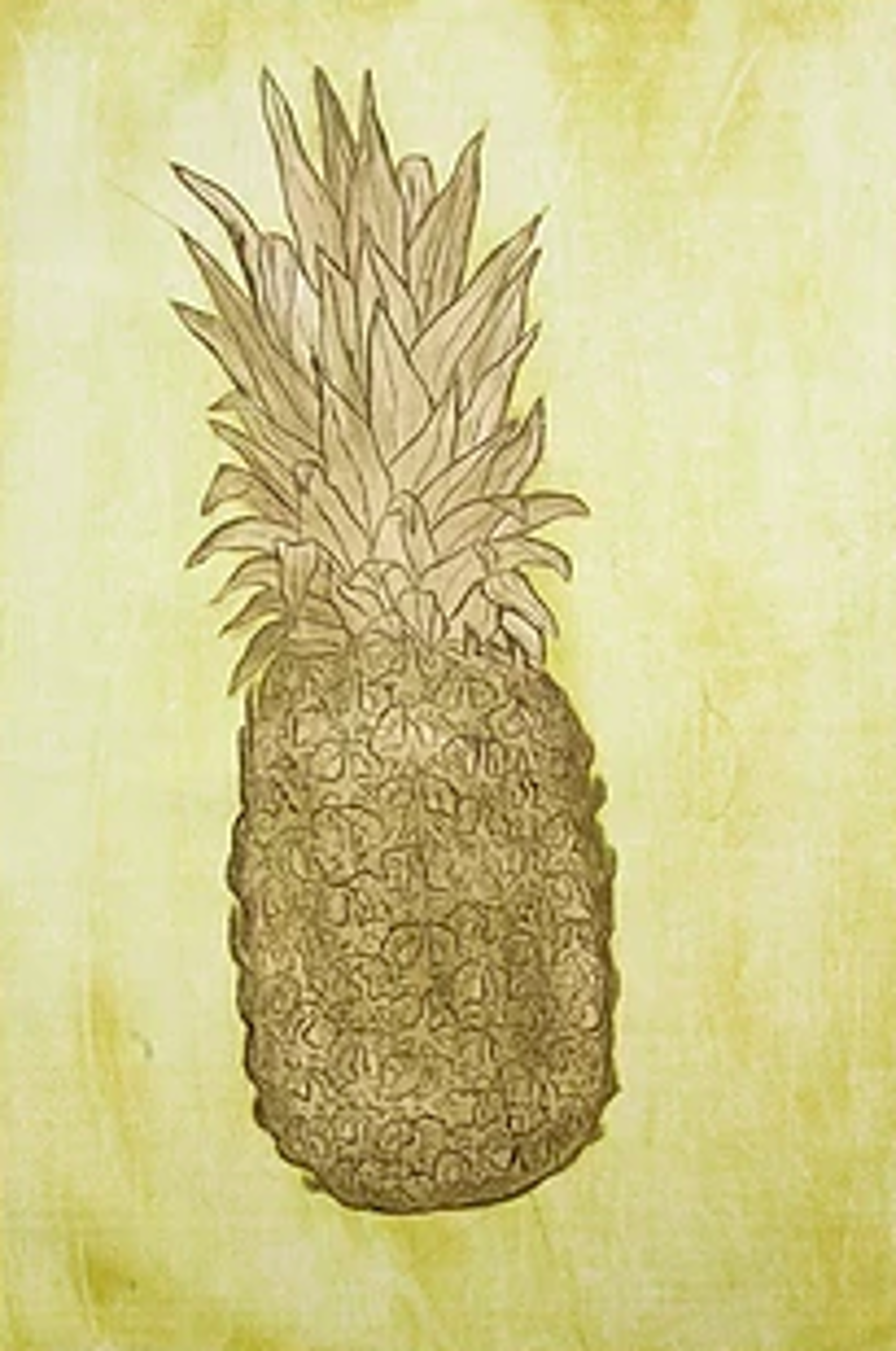 Single Pineapple (monochromatic) by David Hefner
