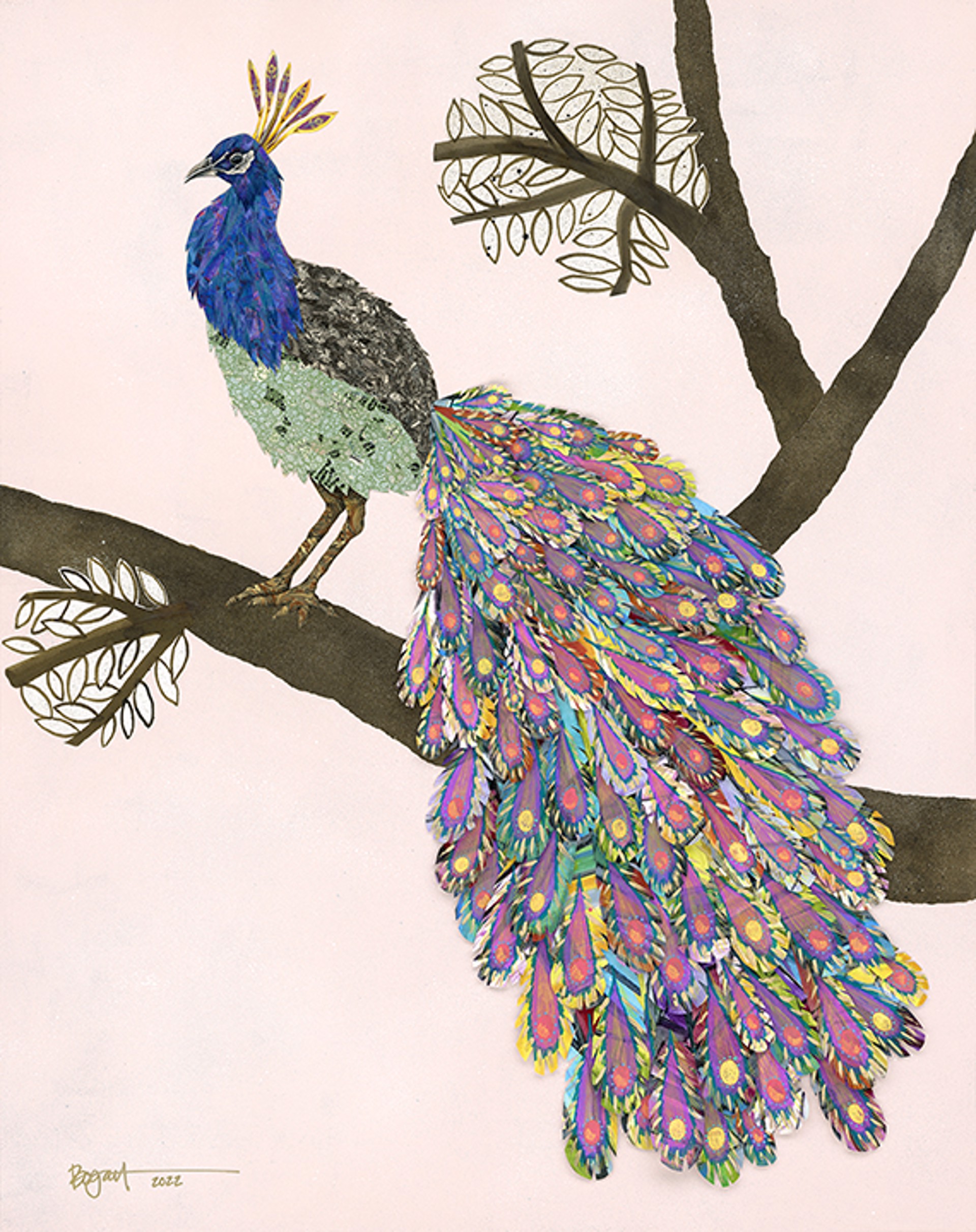 Francis the Peacock by Brenda Bogart - Prints