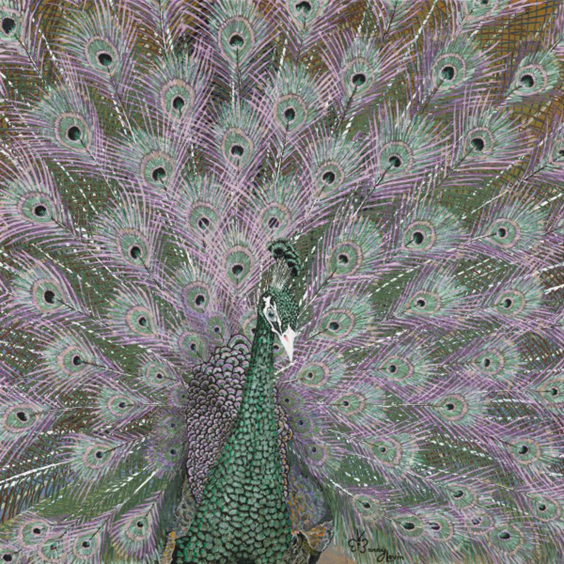 Buford Bronze Peacock by Barry Levin