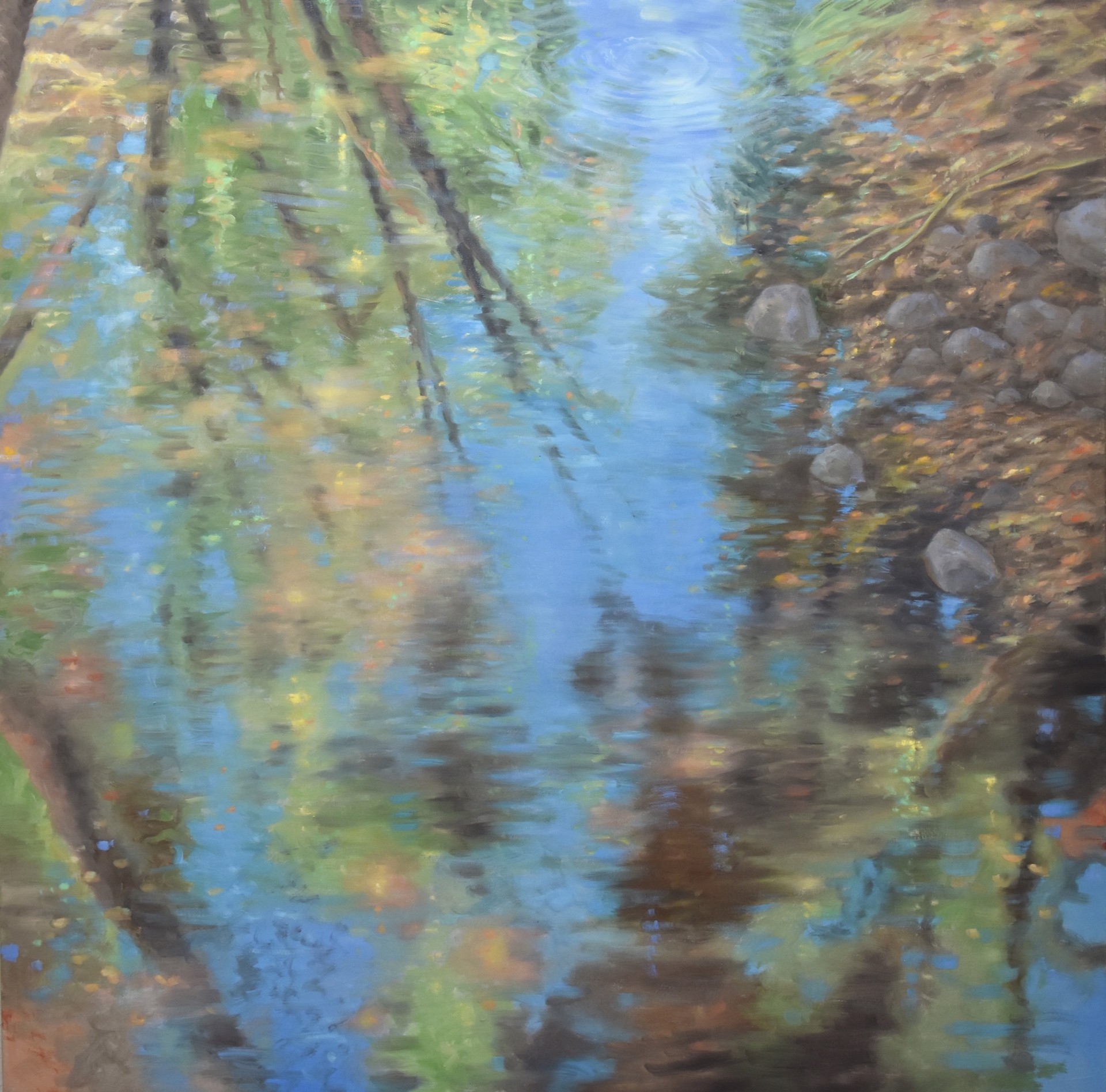 The Stream by Willard Dixon