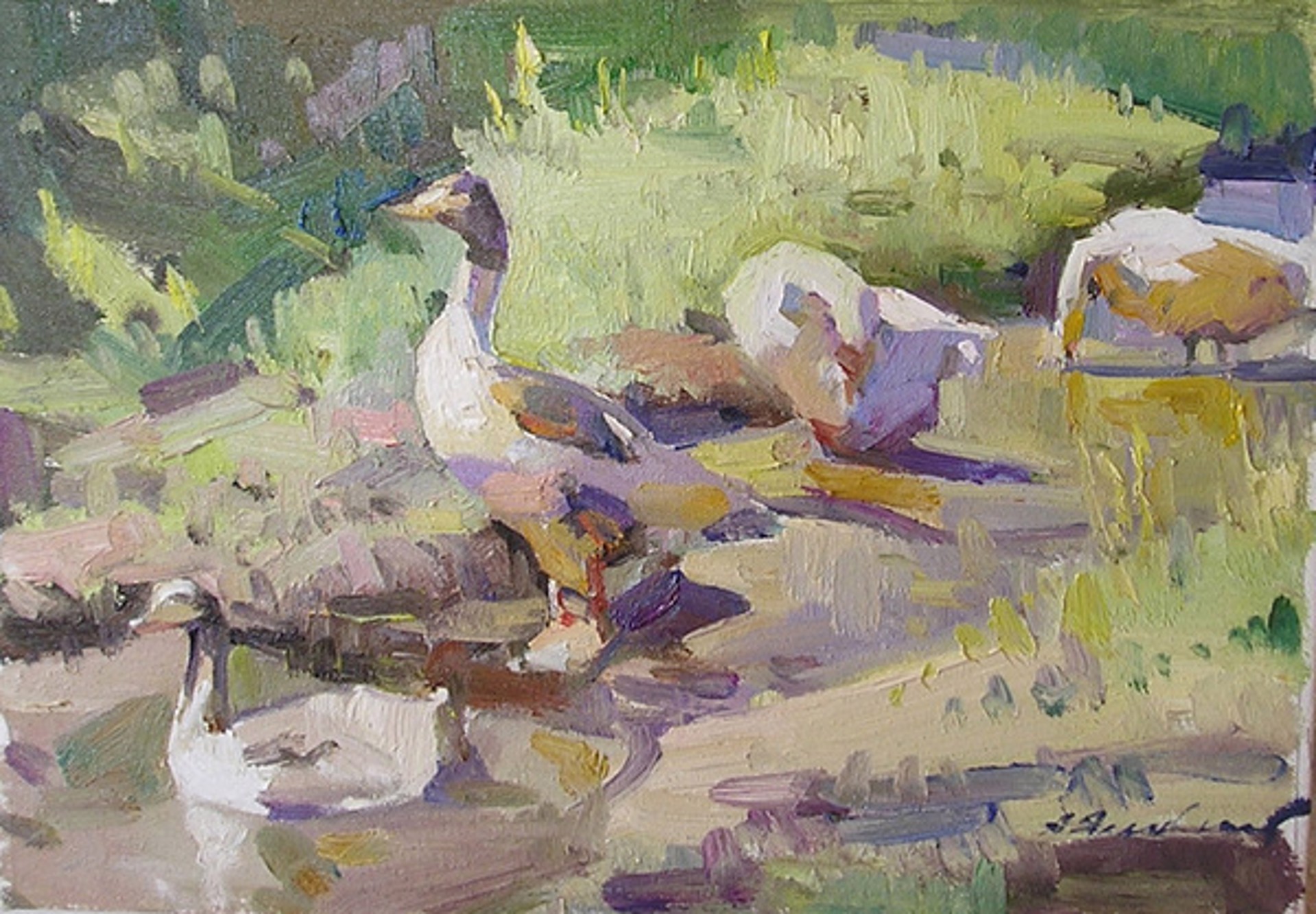 Wading Geese by Andrei Yalanski