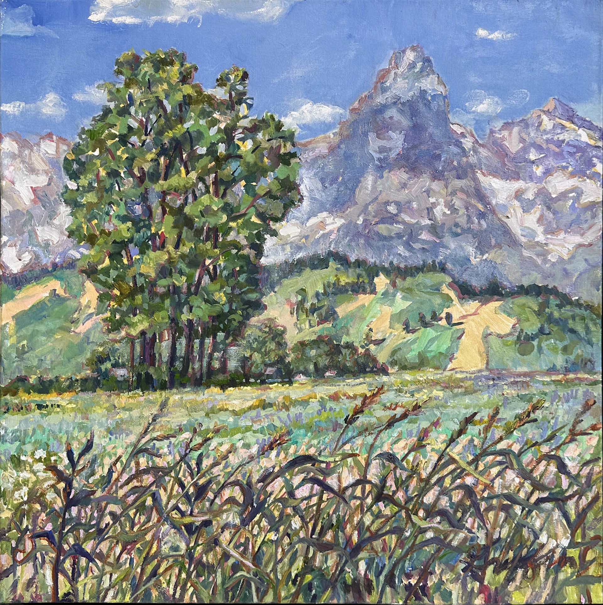 Original Oil Painting By Patricia Griffin Featuring Teton Landscape In Summer