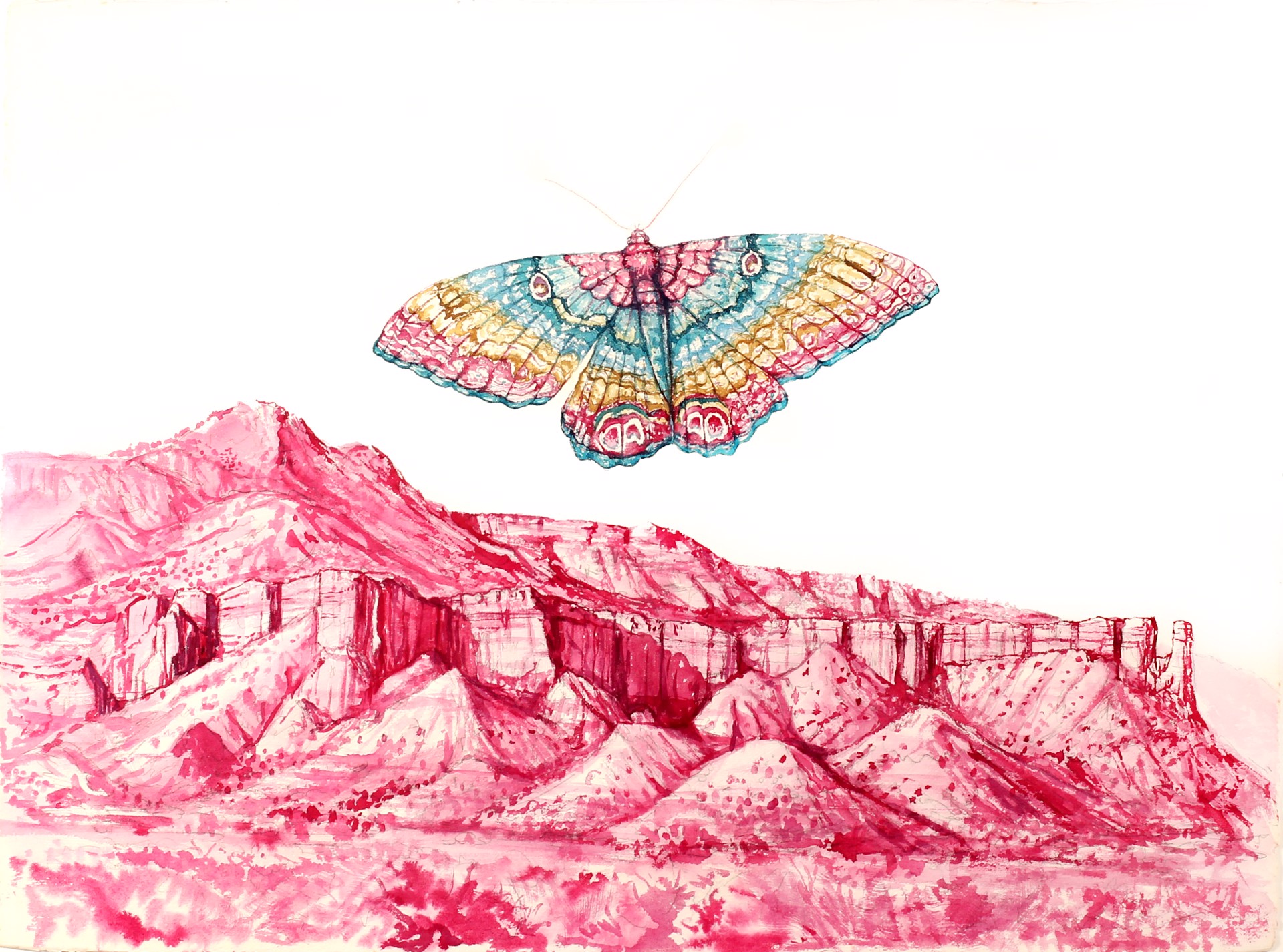 Dream Moth Over Ghost Ranch by Todd Ryan White