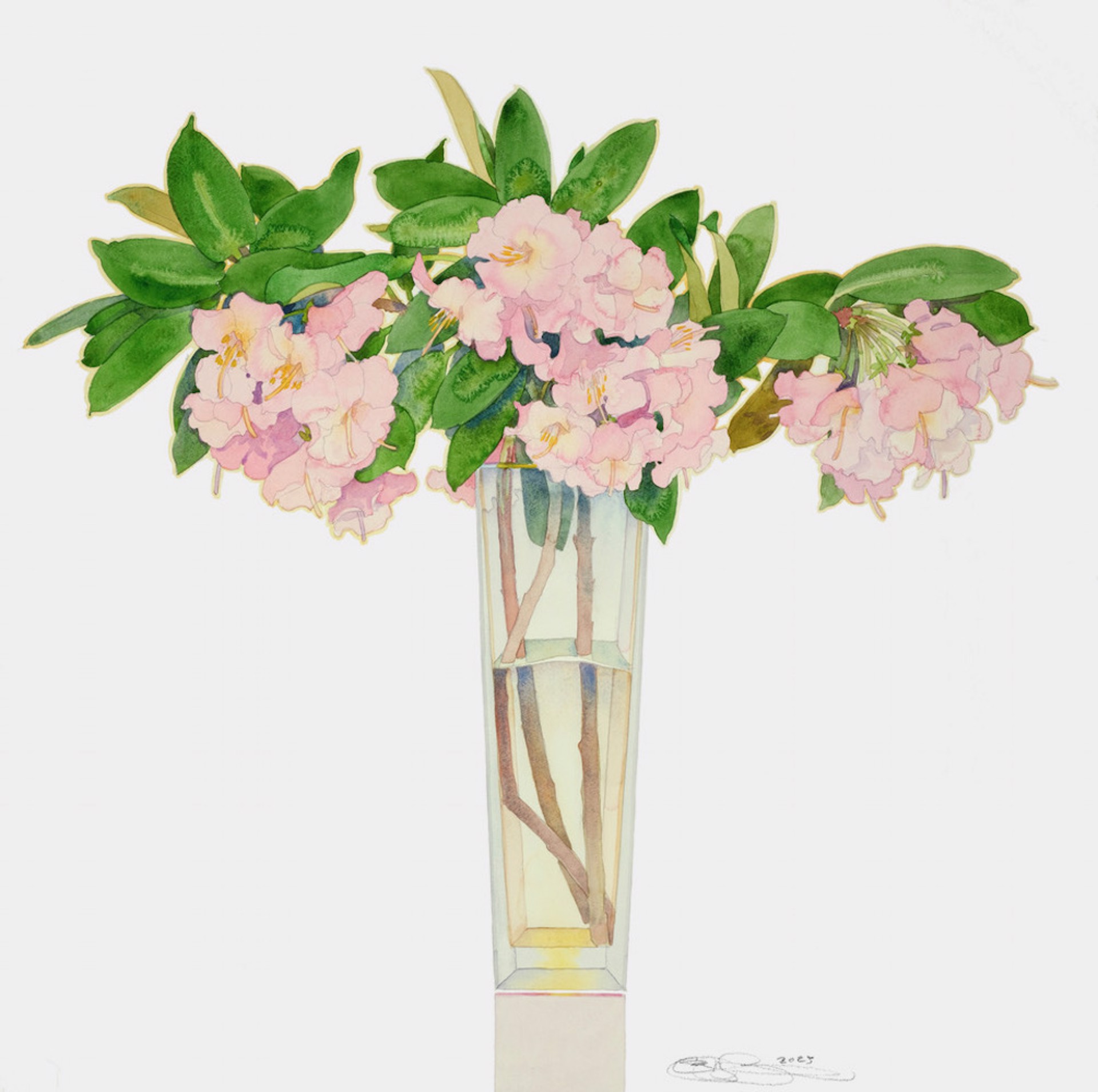 Pink Rhododendrons (unframed by Gary Bukovnik