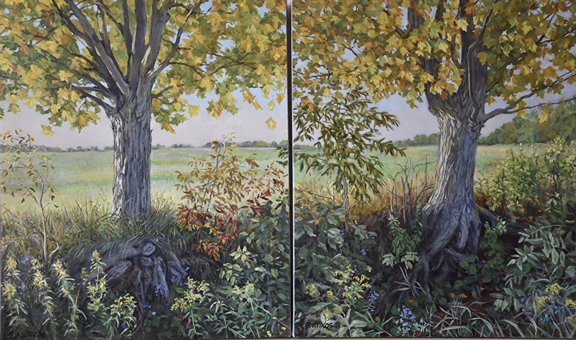 Roadside Maples - diptych by Robin Nyikos
