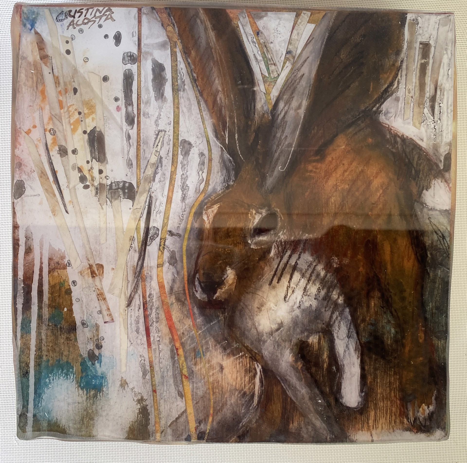 Hey Rabbit by Cristina Acosta