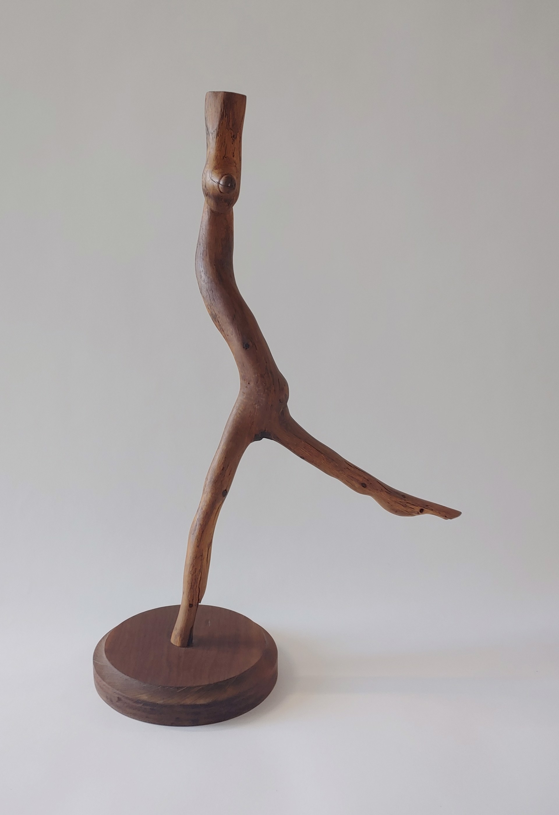 Acorn - Wood Sculpture by David Amdur