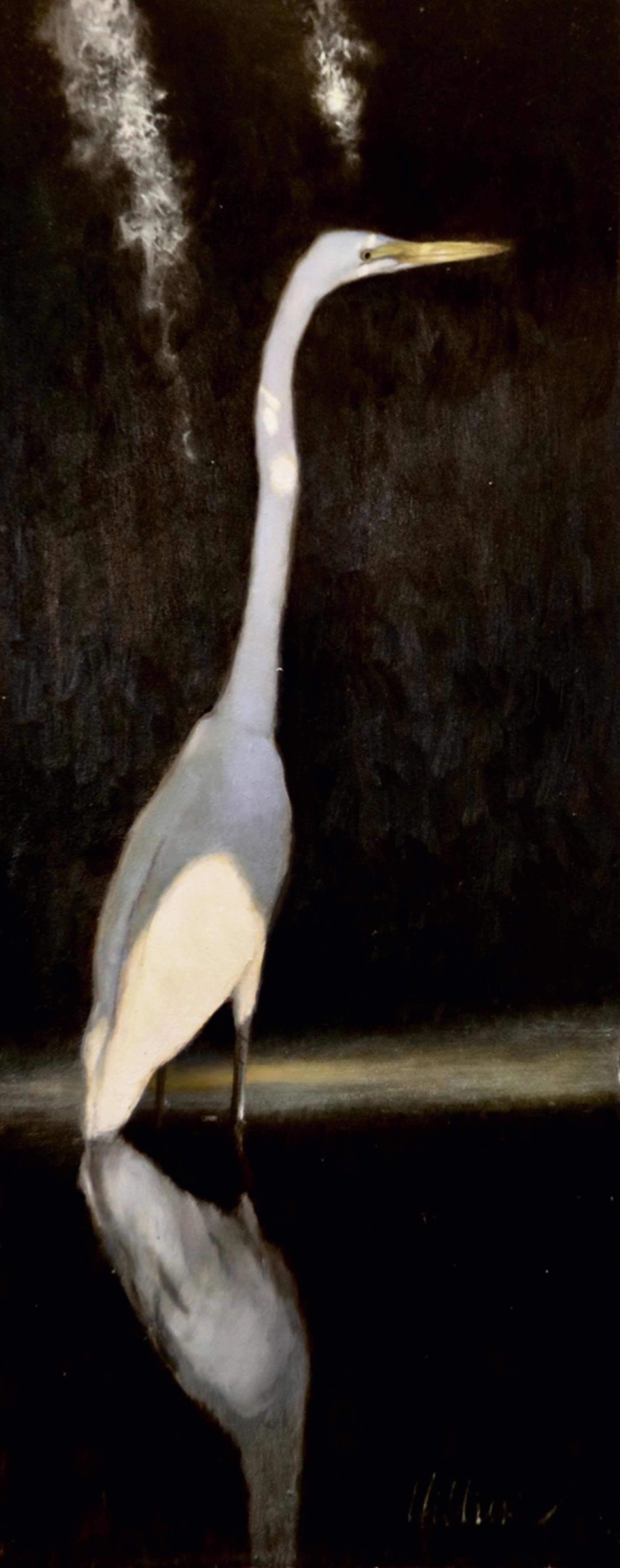 Great Egret by Matthew Hillier