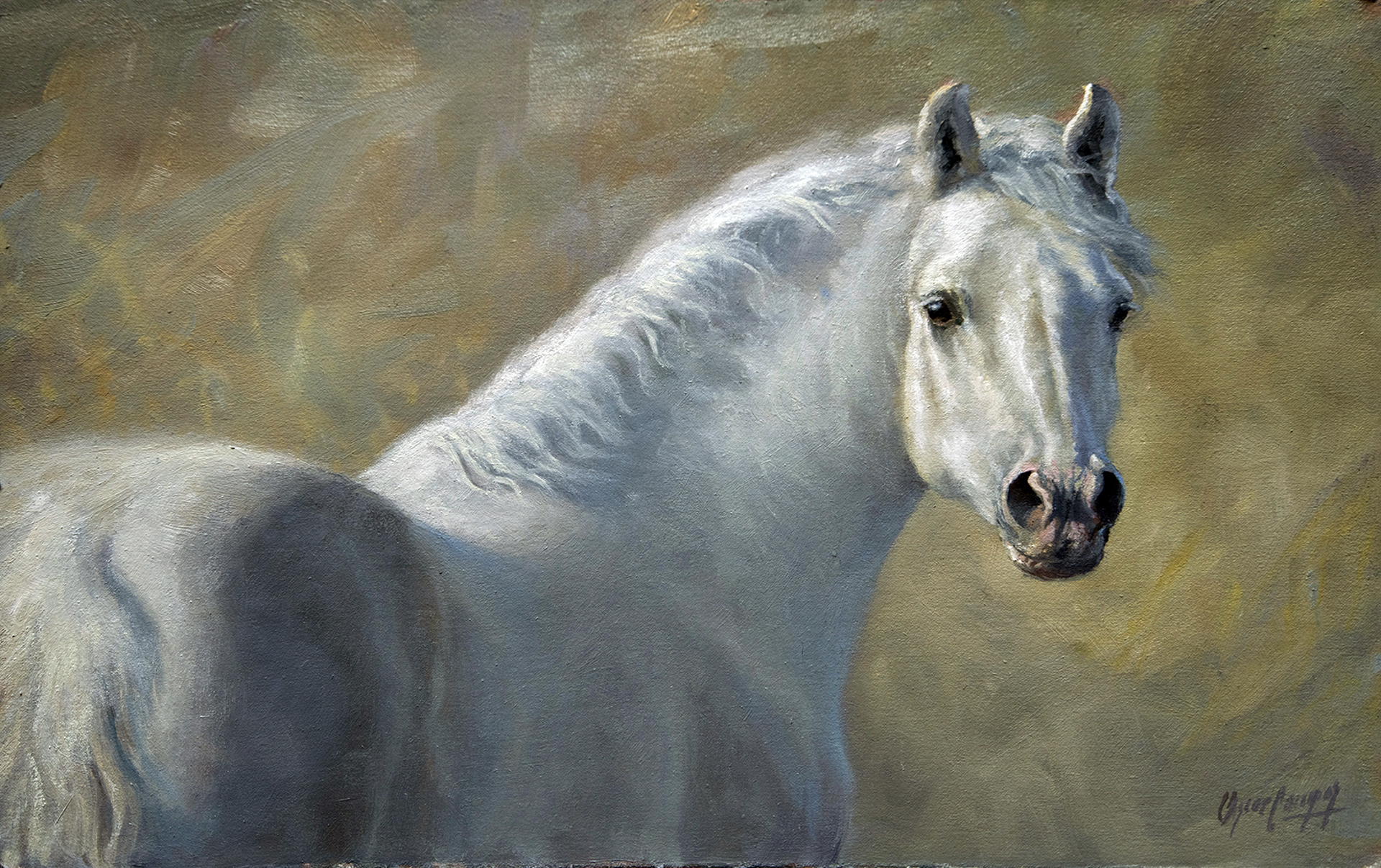 White Horse by Oscar Campos