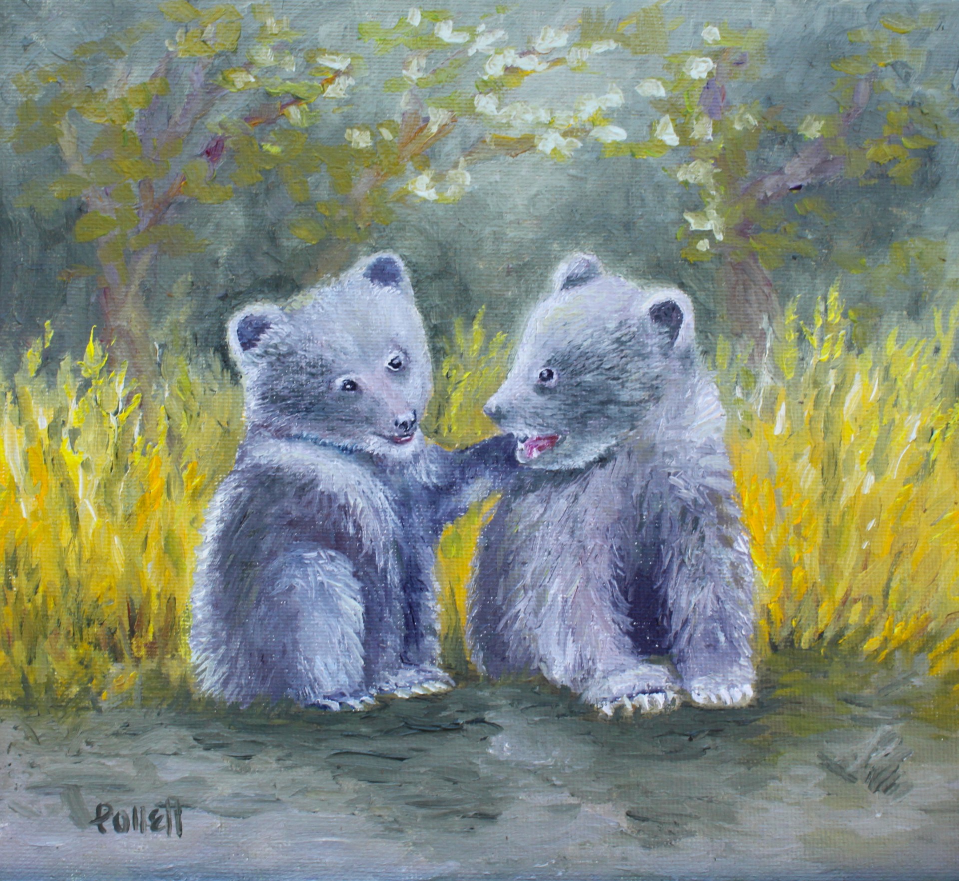Sibling Cubs by Cynthia Jewell Pollett