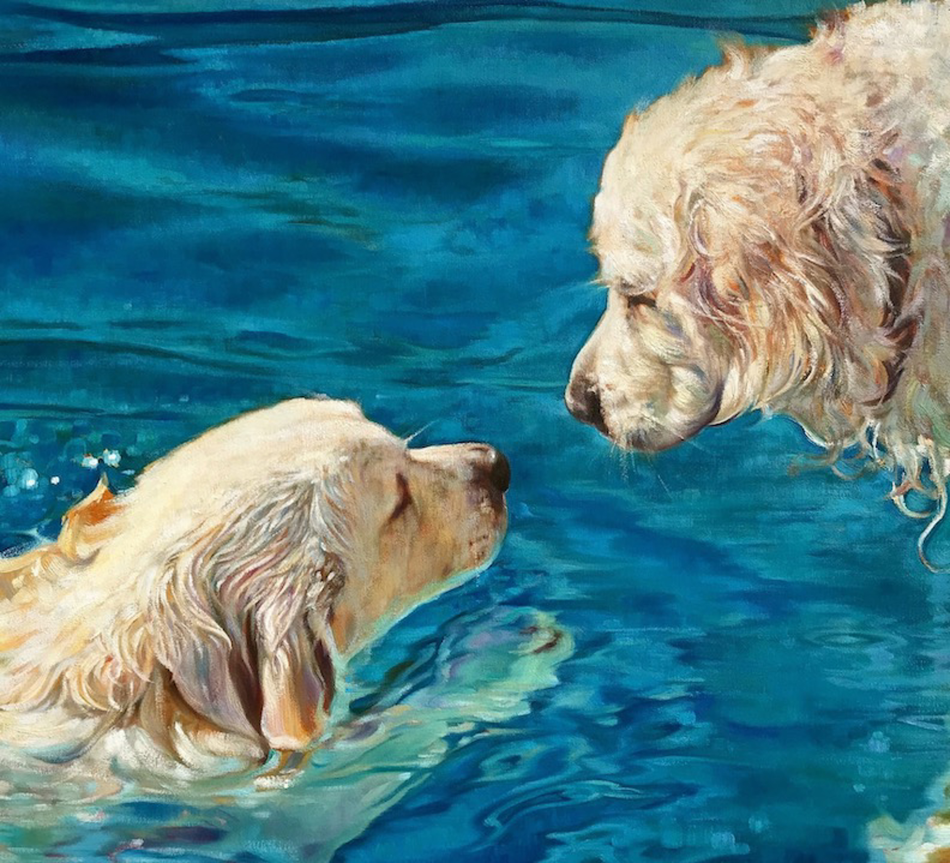 Pool Pups SN by Caroline Zimmermann
