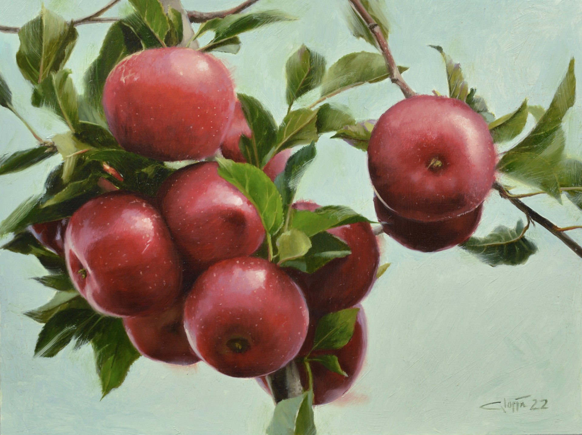 Red Apple Bough by Lisa Gloria