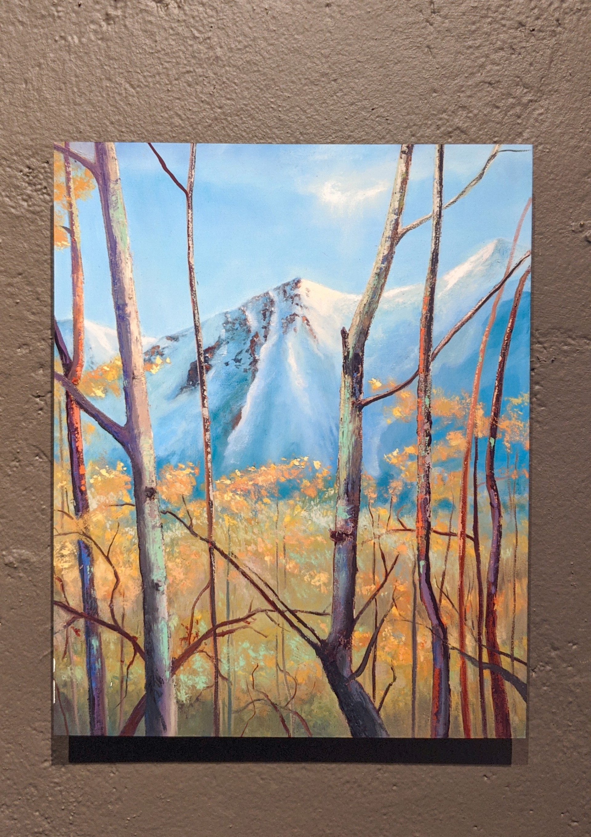 Mountain Colors - 8x10 metal print by Print Shop
