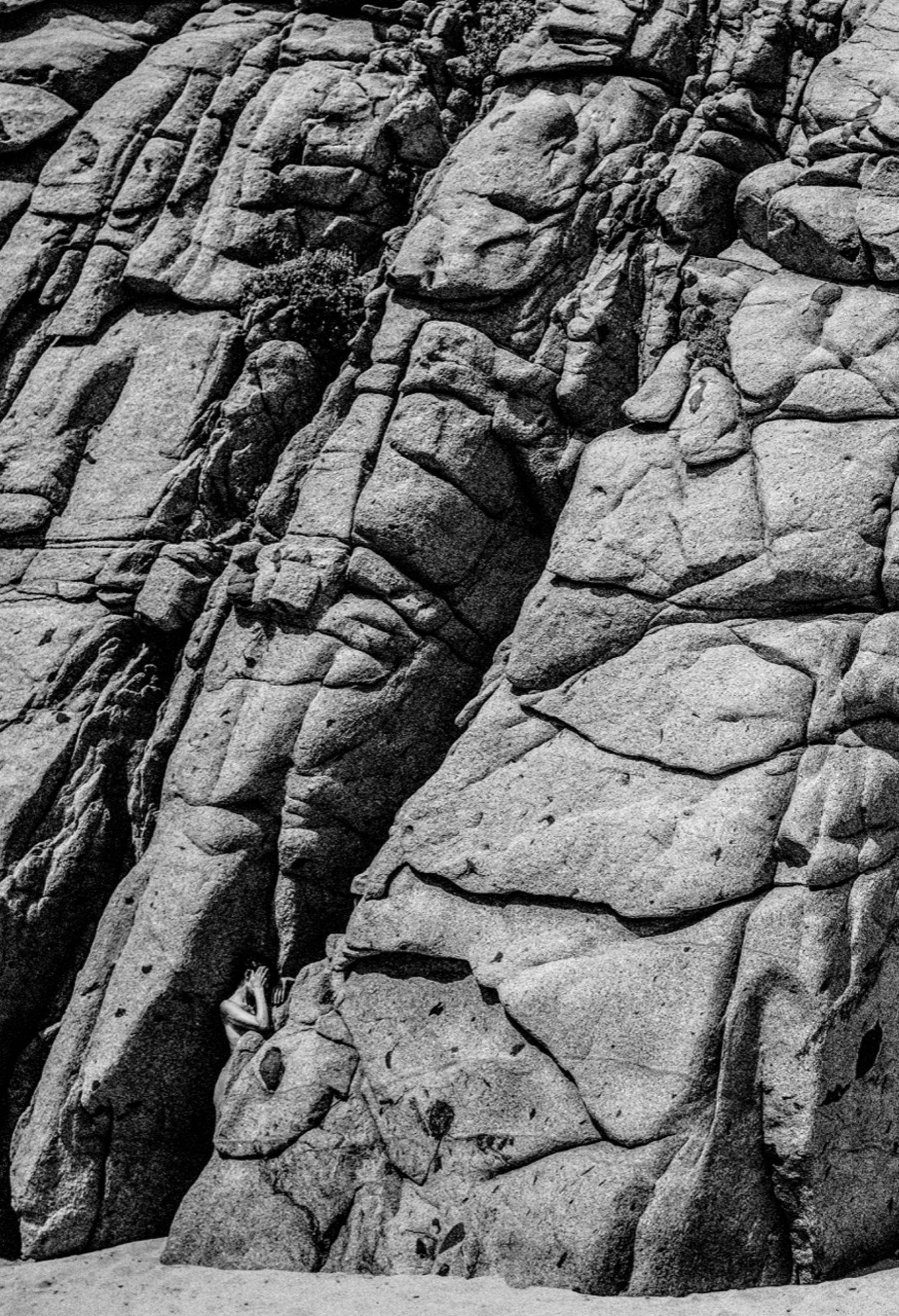 On The Rocks Bashful by Rob Brinson