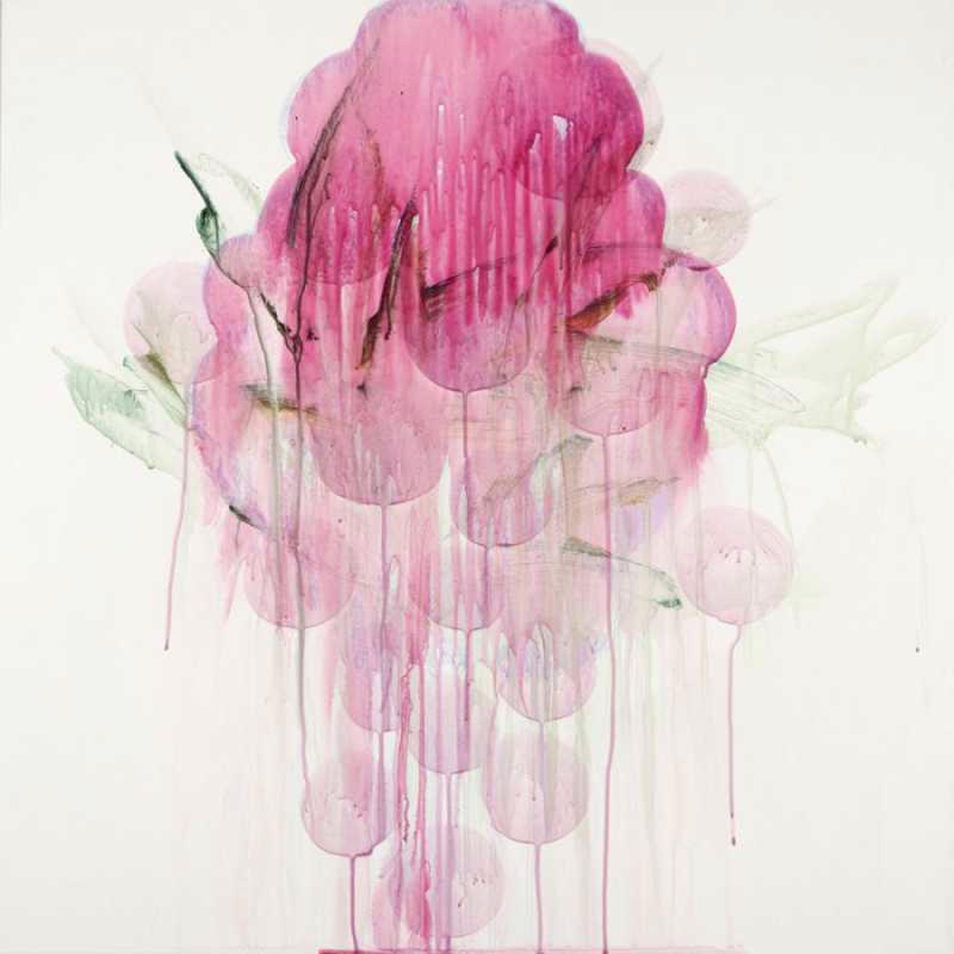 Wild Blossom by Shawn Hall