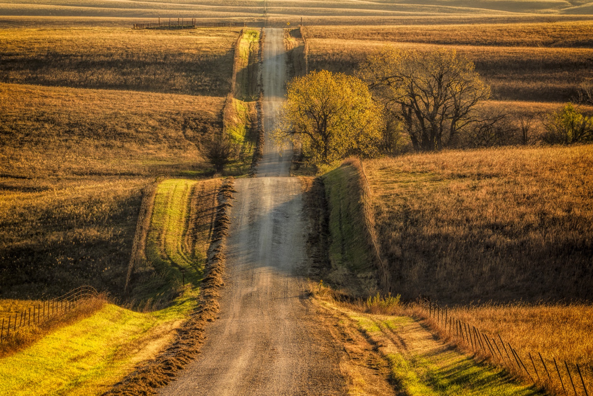 Country  Road II by Scott Bean