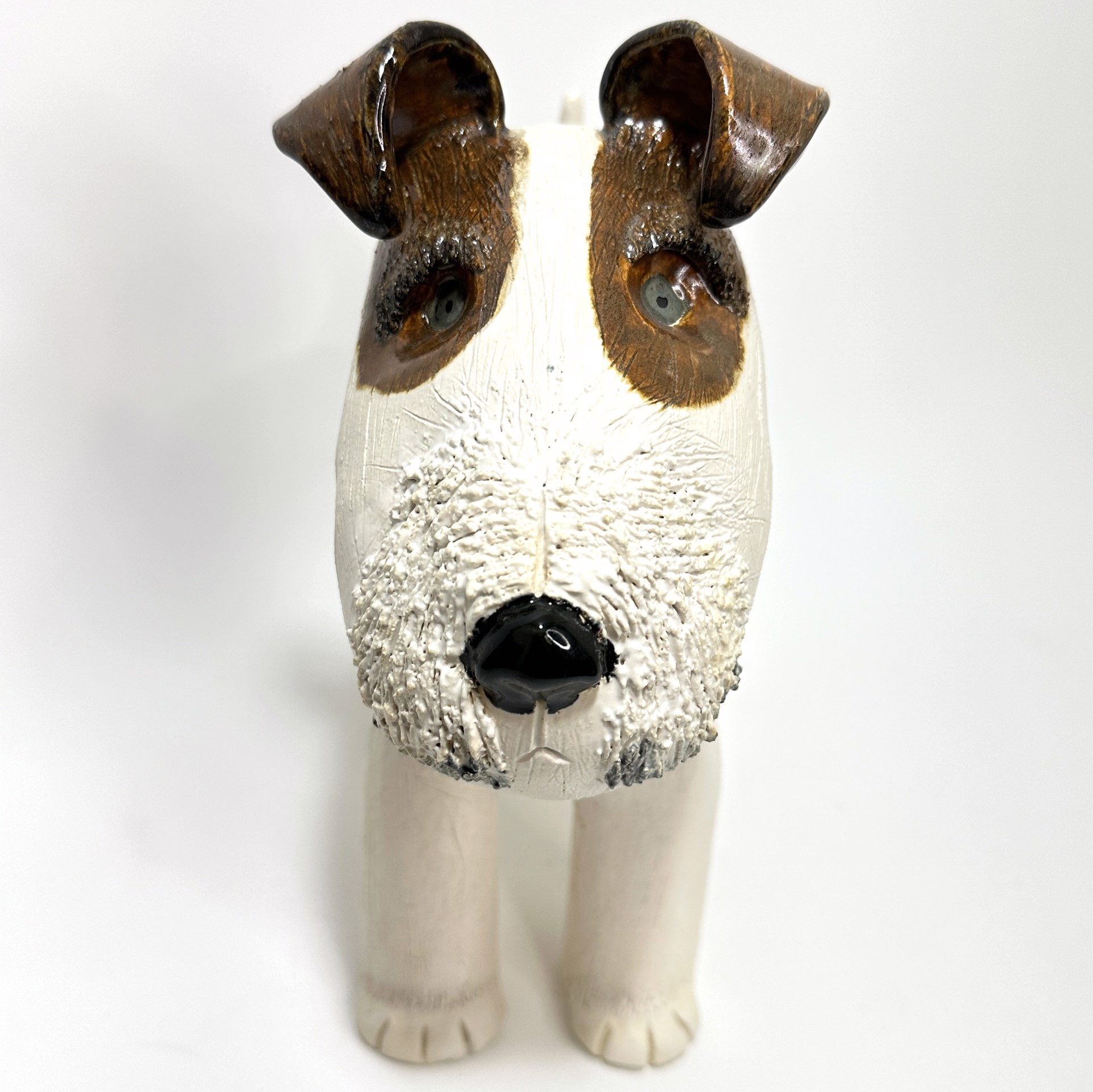 Fox Terrier Study 1 by Sue Morse