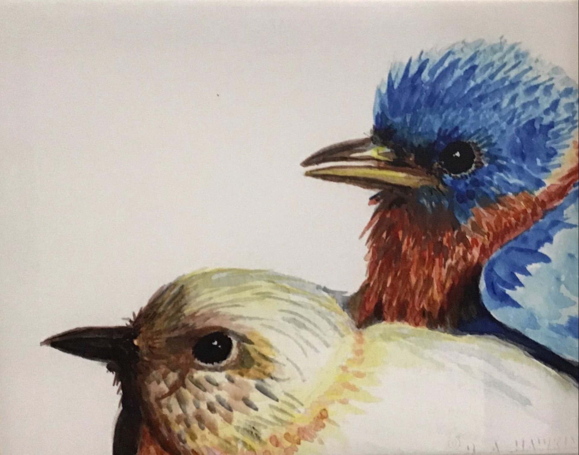 Baby Bluebirds by Barbara Hawkins Silver