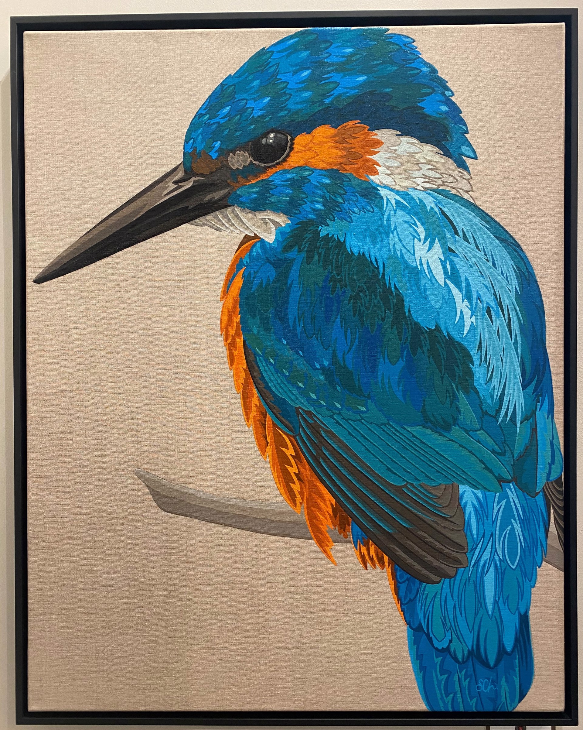 Kingfisher by Sam Charles