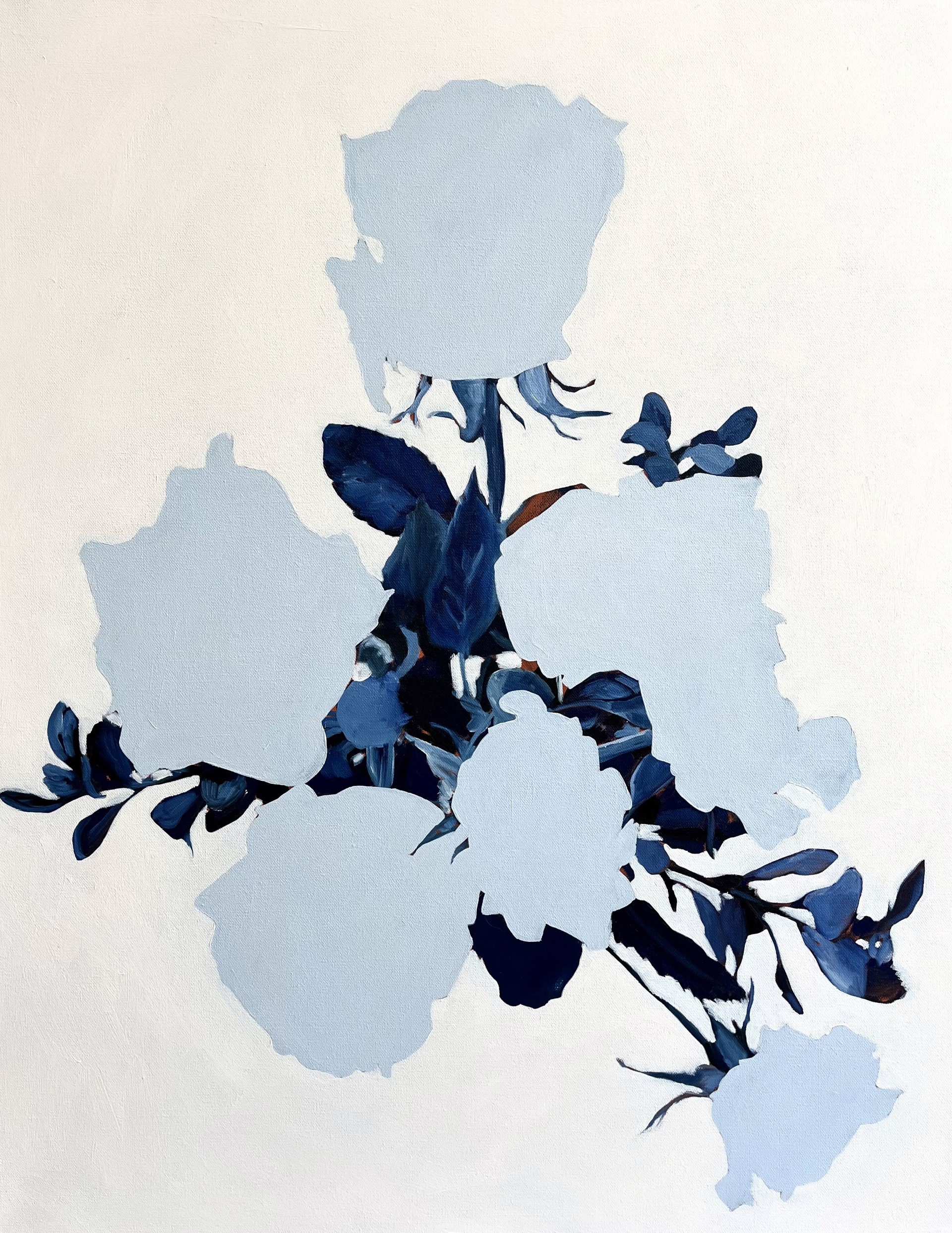 Roses In Blue by KATIE MACNELLY