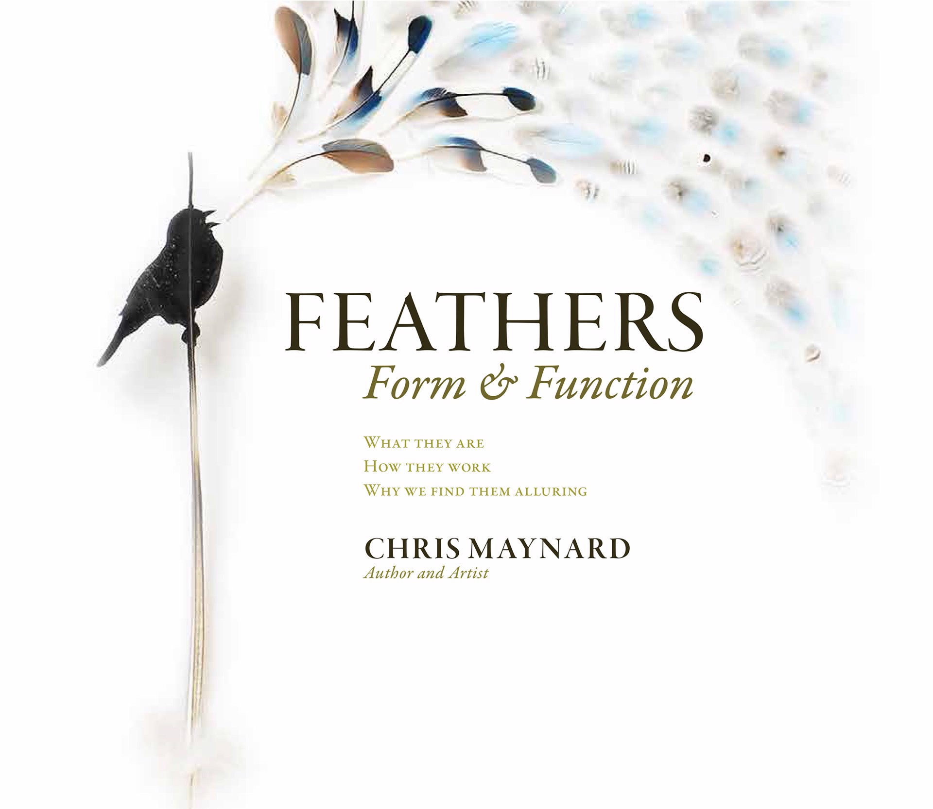 Feathers- Form & Function by Chris Maynard