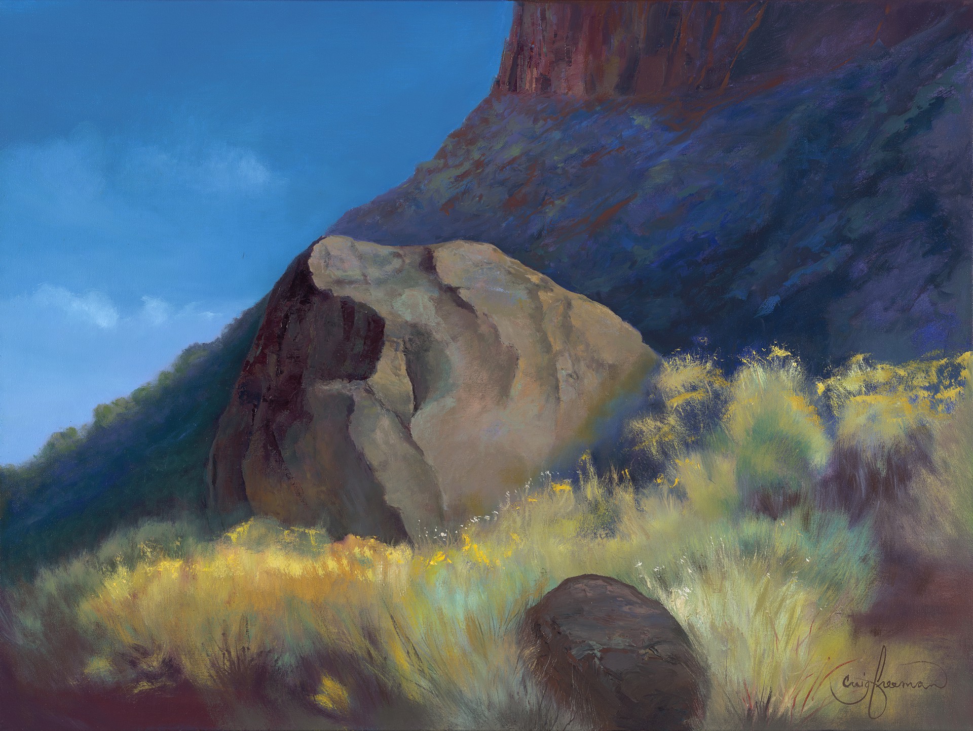 Diablo Canyon Bloom by Craig Freeman