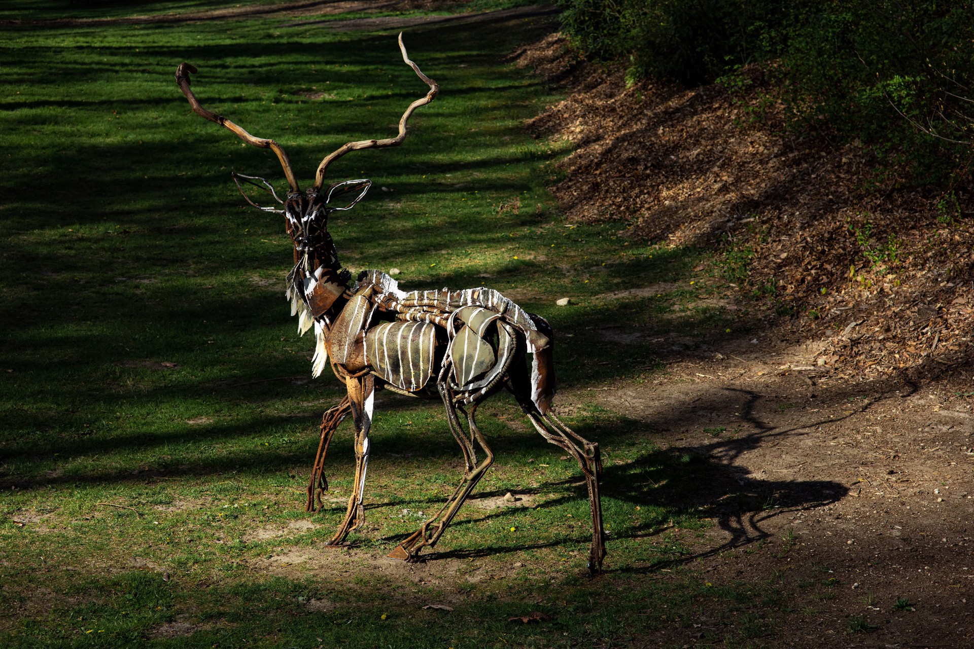 Greater Kudu by Wendy Klemperer