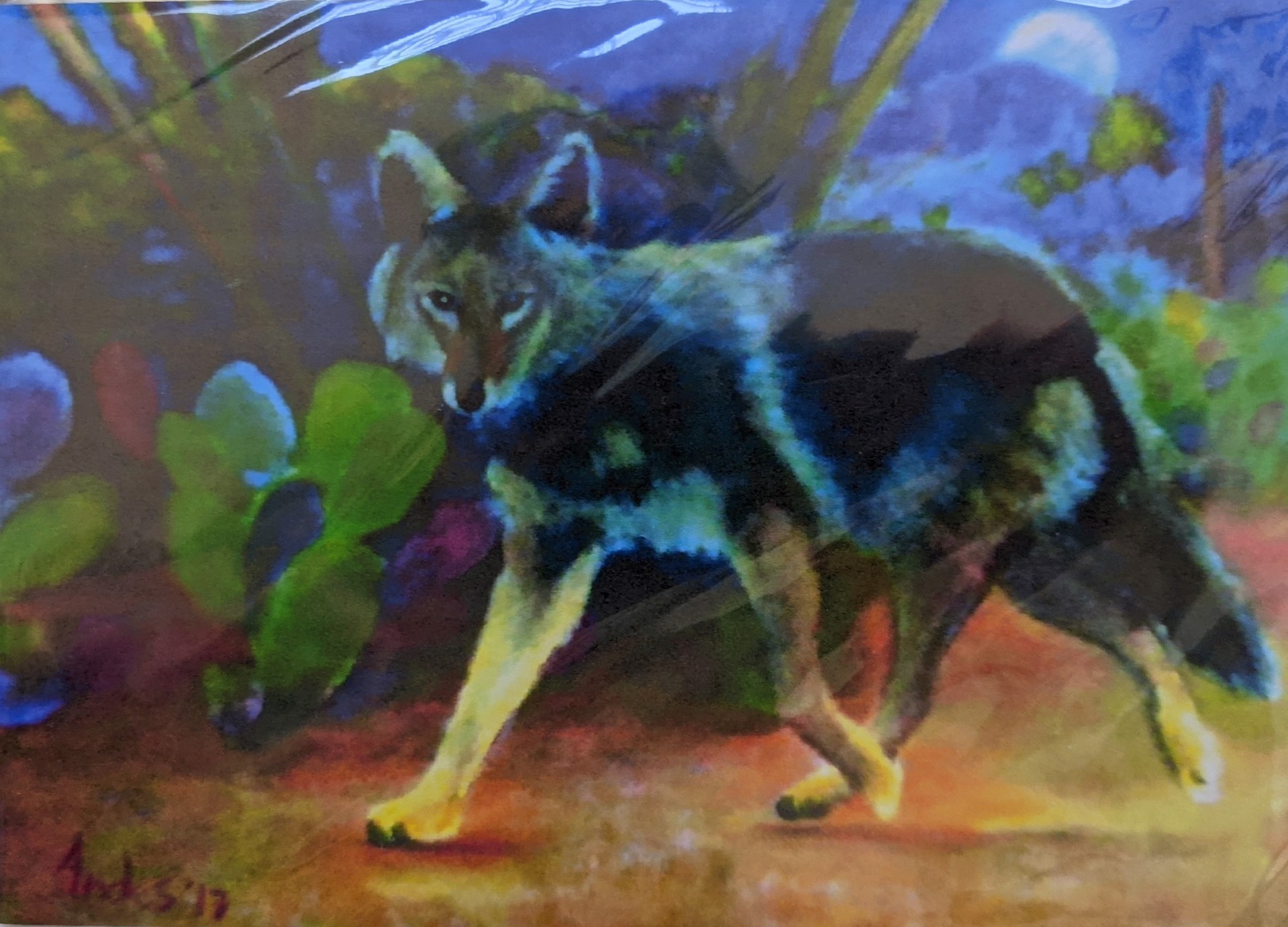 68 Nightfall Coyote by Jacqueline Andes