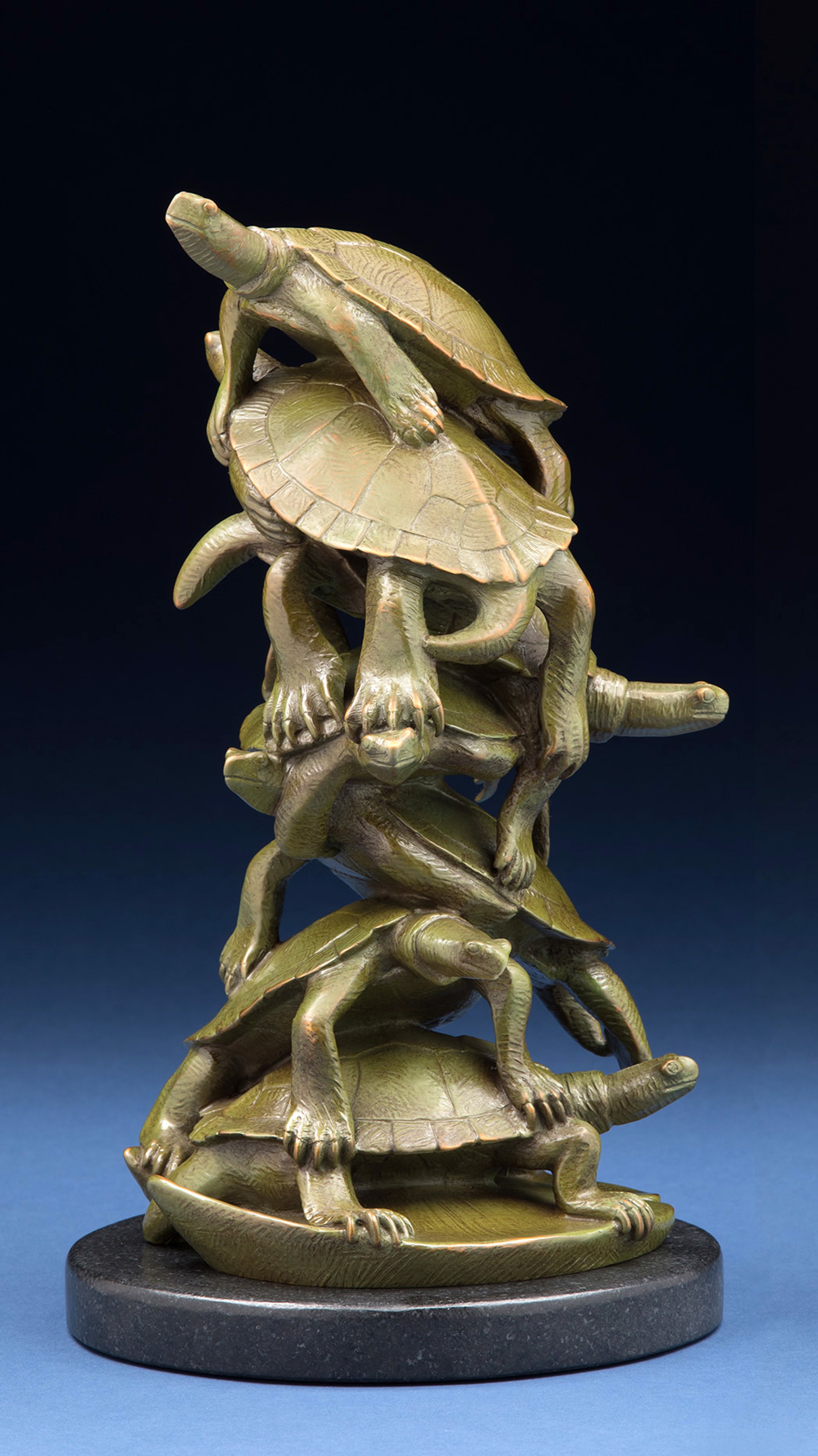 Stacked Turtles by Tony Hochstetler