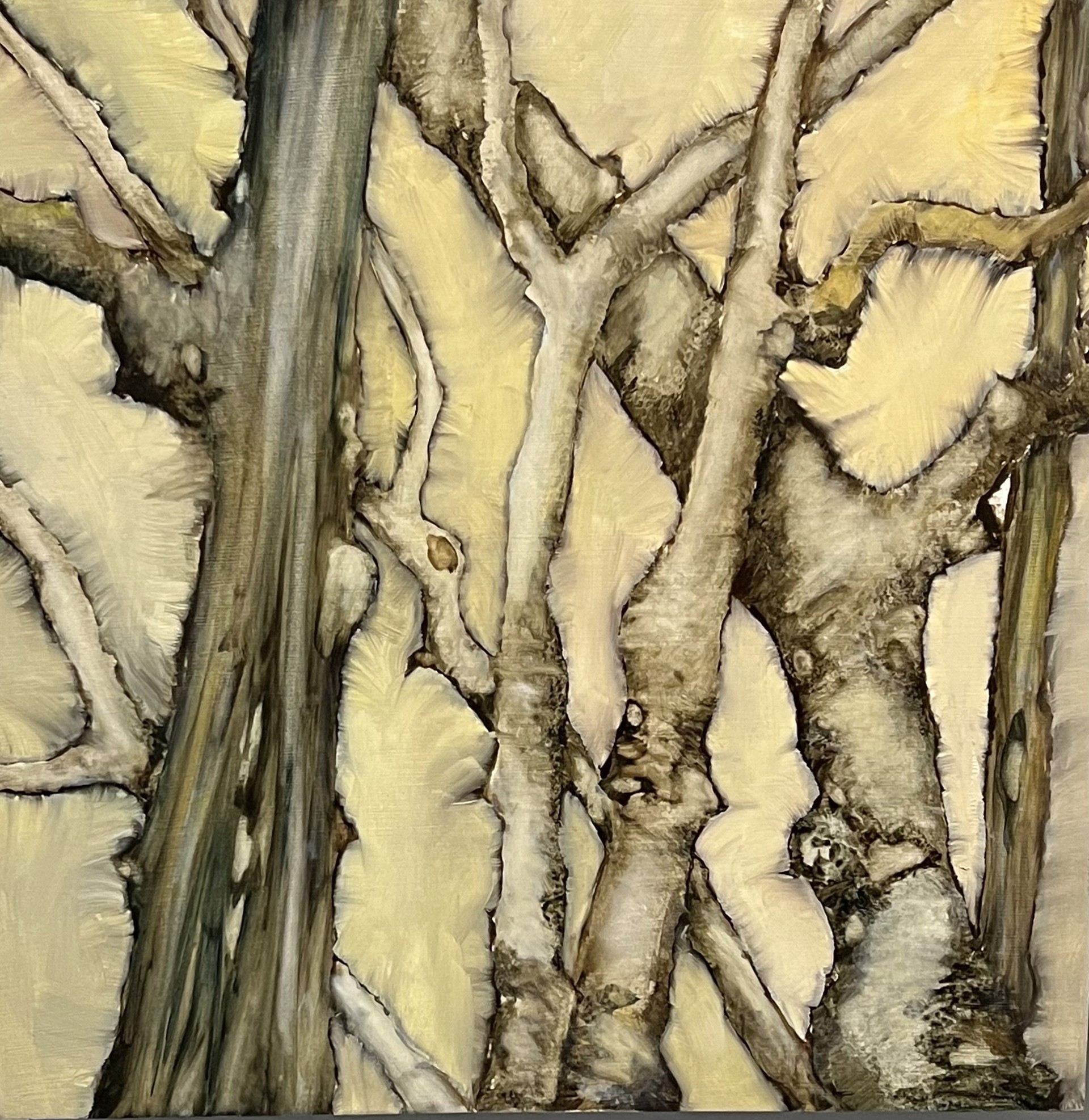Twin Oak by Nancy Betty