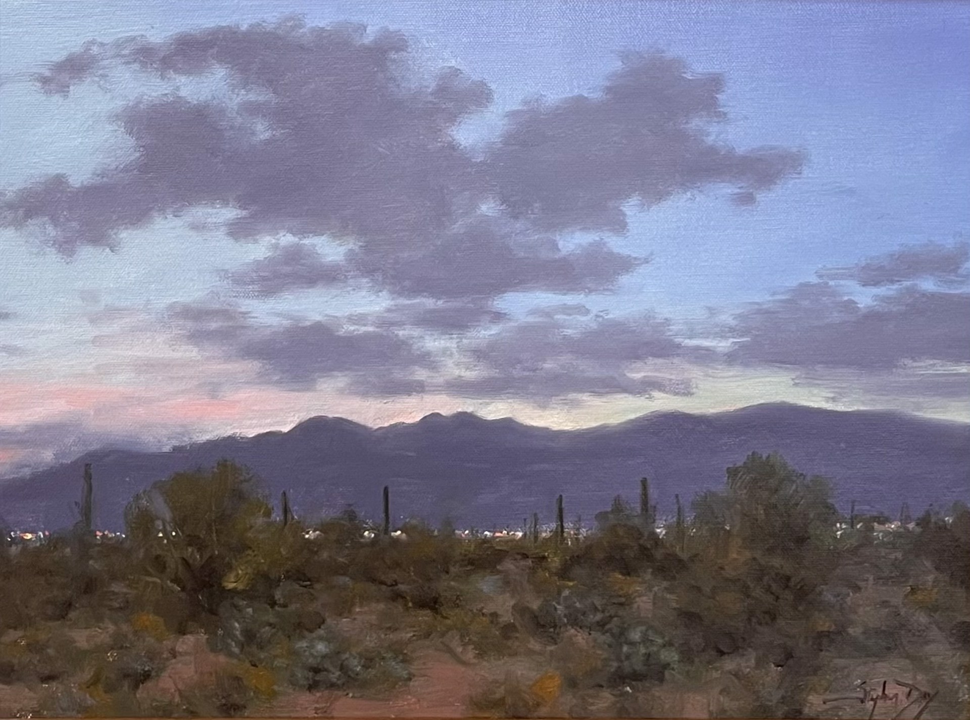Tucson Twilight by Stephen Day
