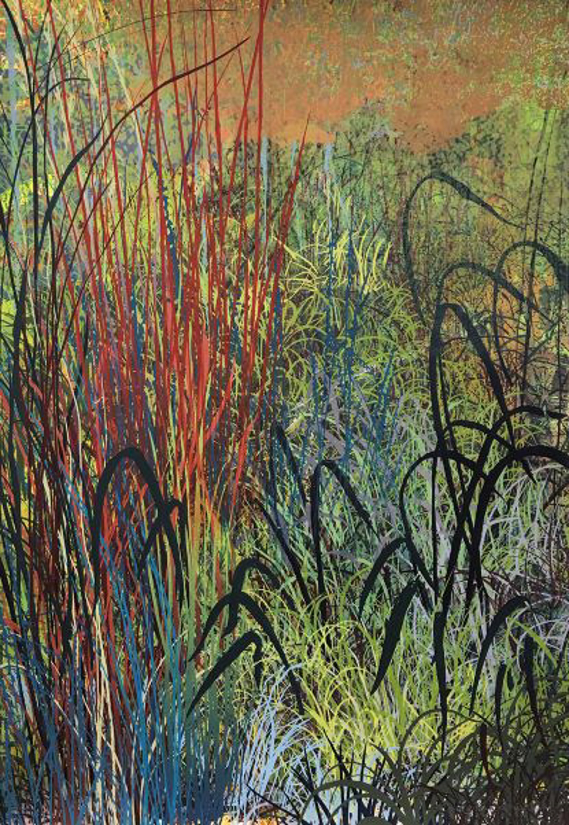 Graffiti by Lynn Schoenecker