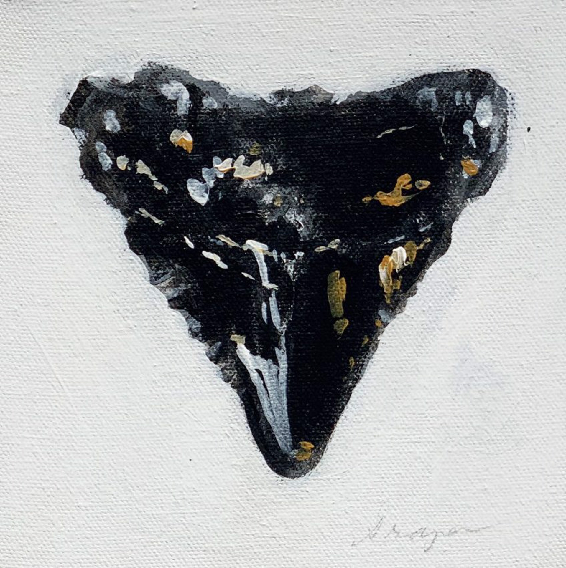 Sharksteeth-14x14 by Jim Draper