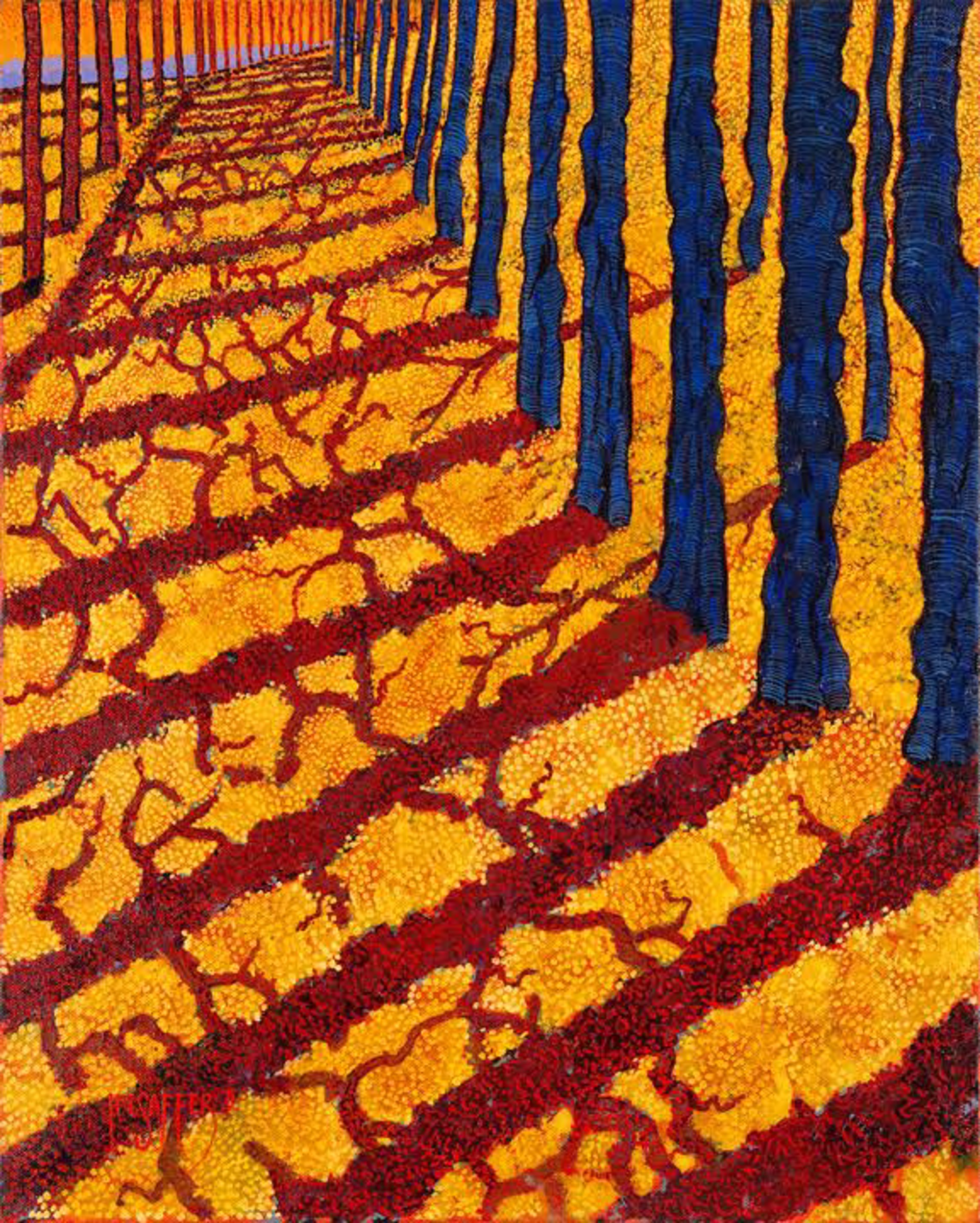 Orange Shadow by H. M. Saffer II