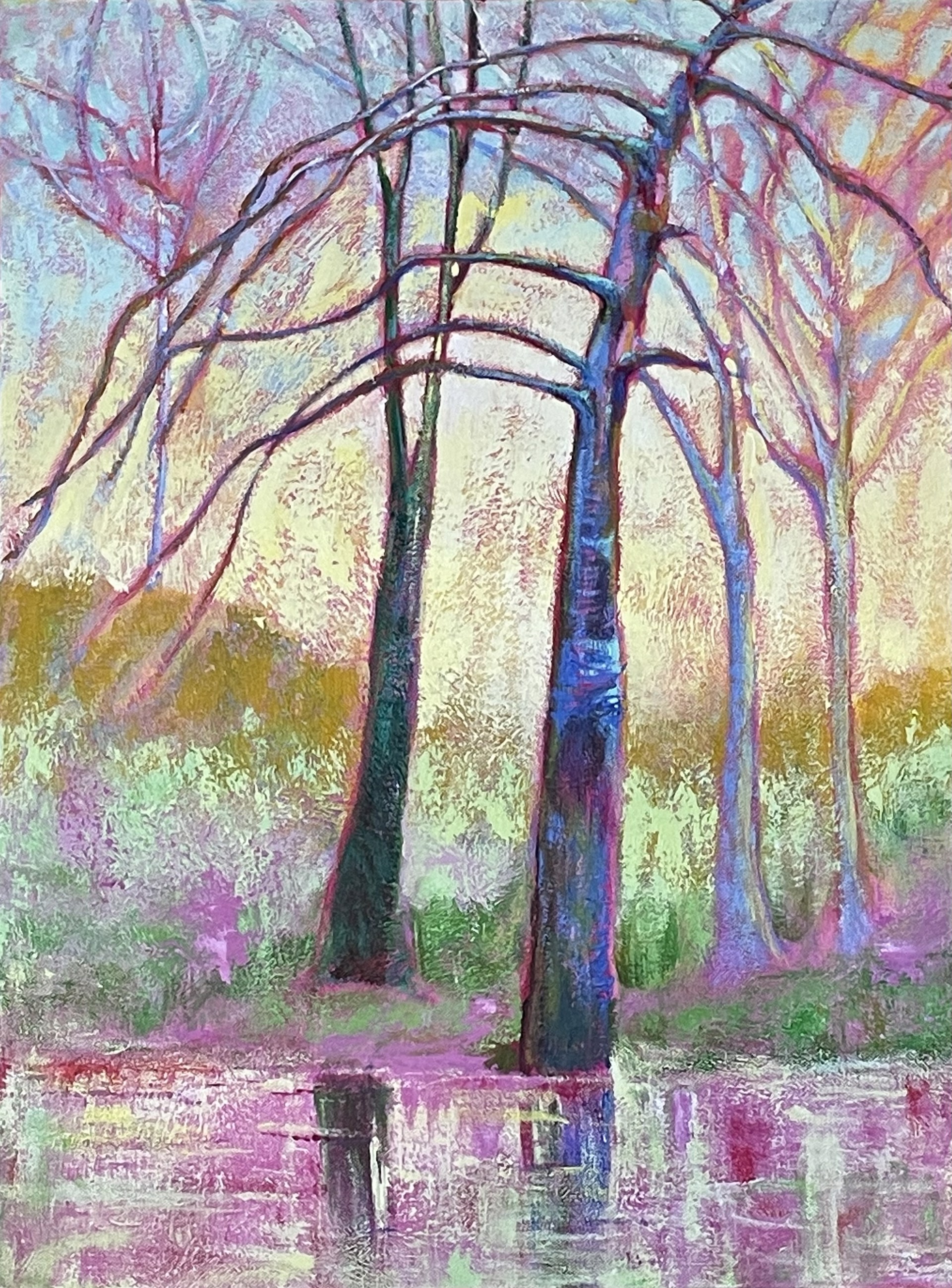 Reflections of the River Gorge by Iantha Newton