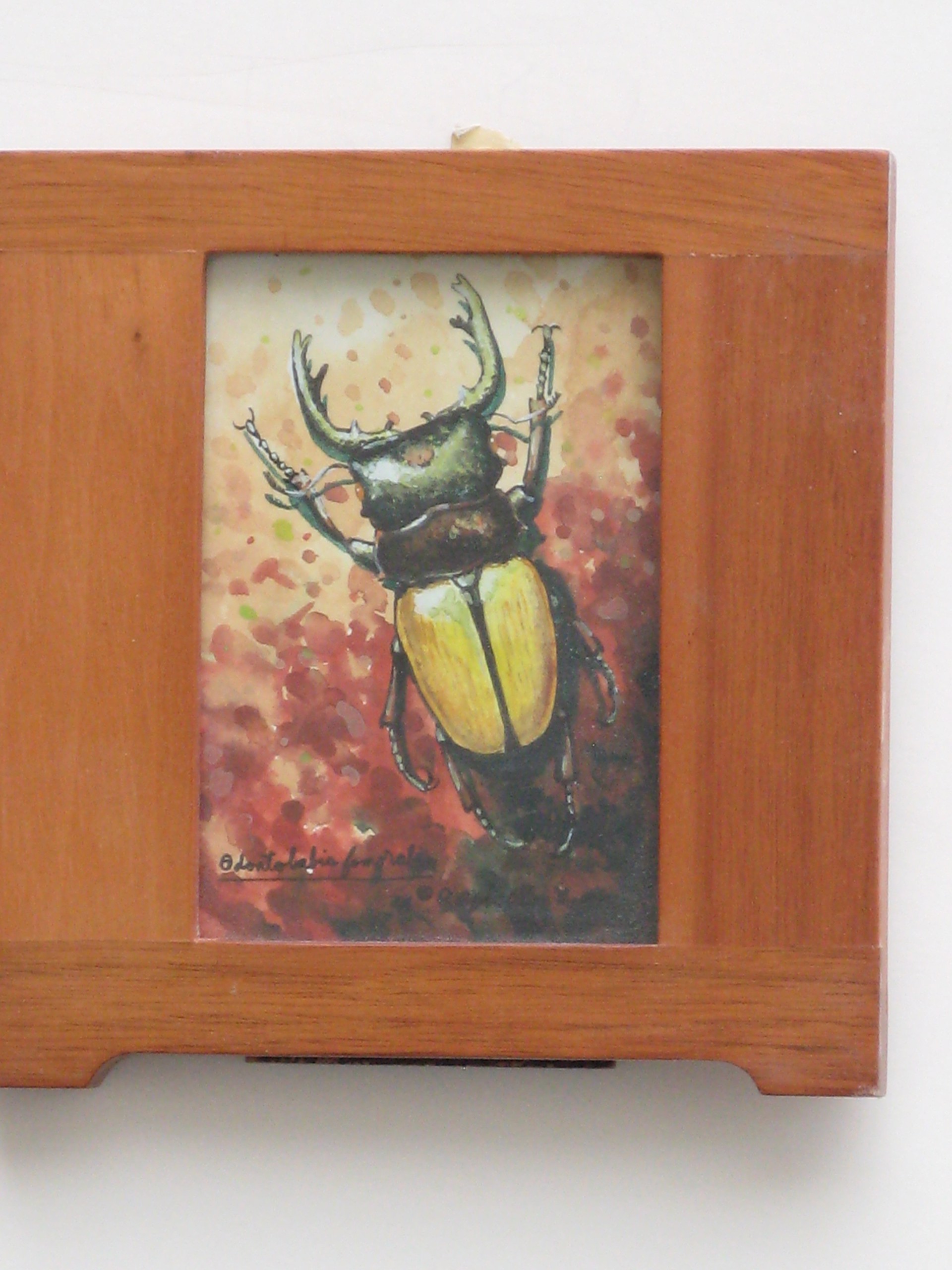 Beetle 1 by Ralph Allen Massey