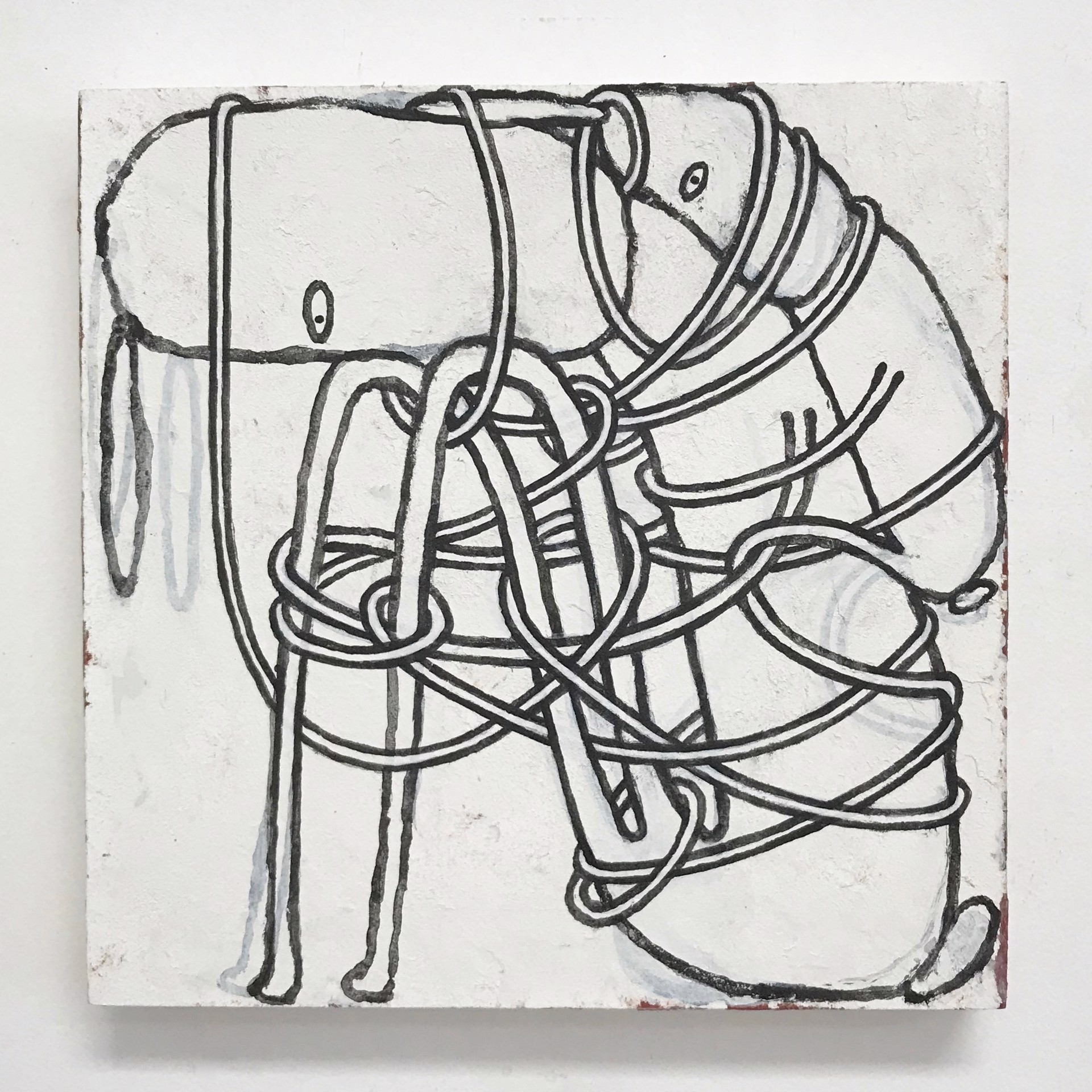 Tangle #12 by Rebecca Doughty