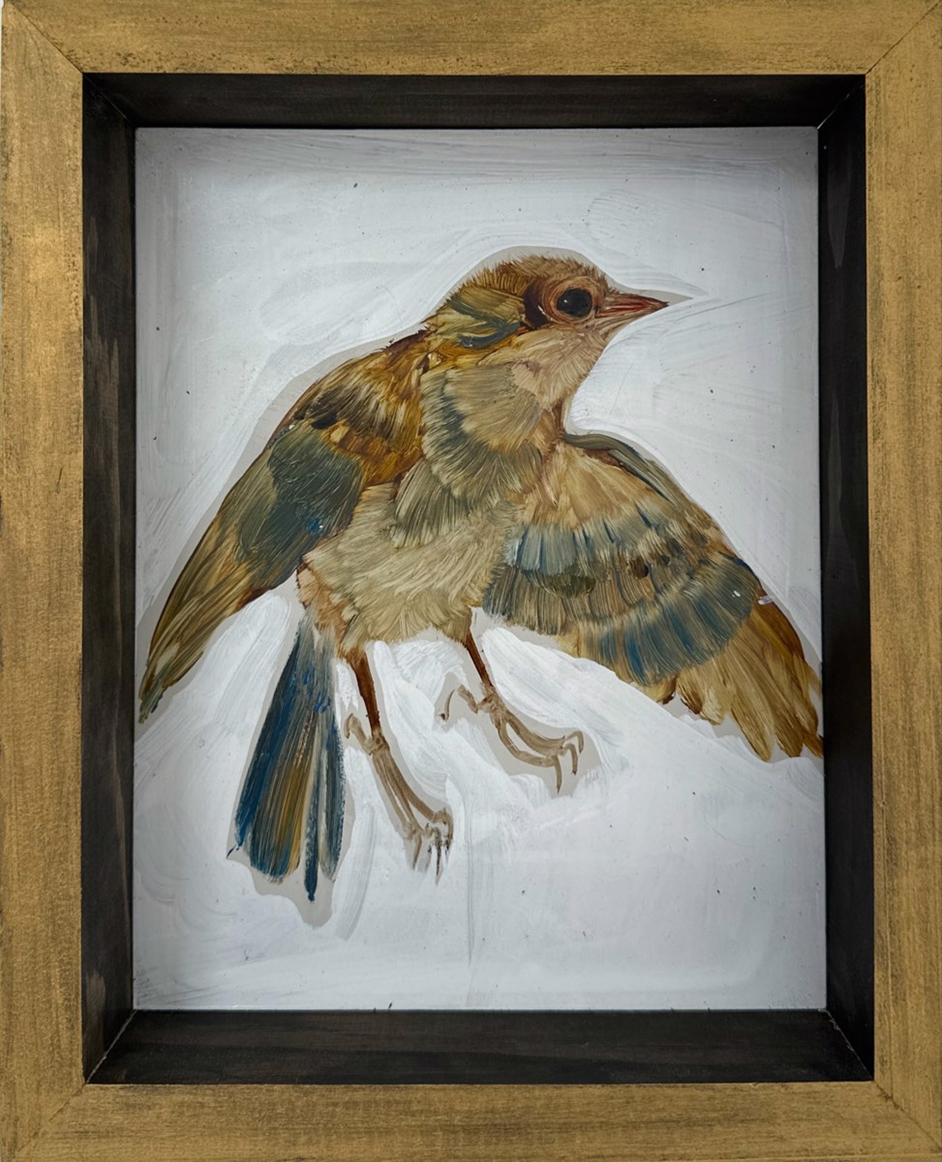 Bird Series (Repose Gray) by Diane Kilgore Condon