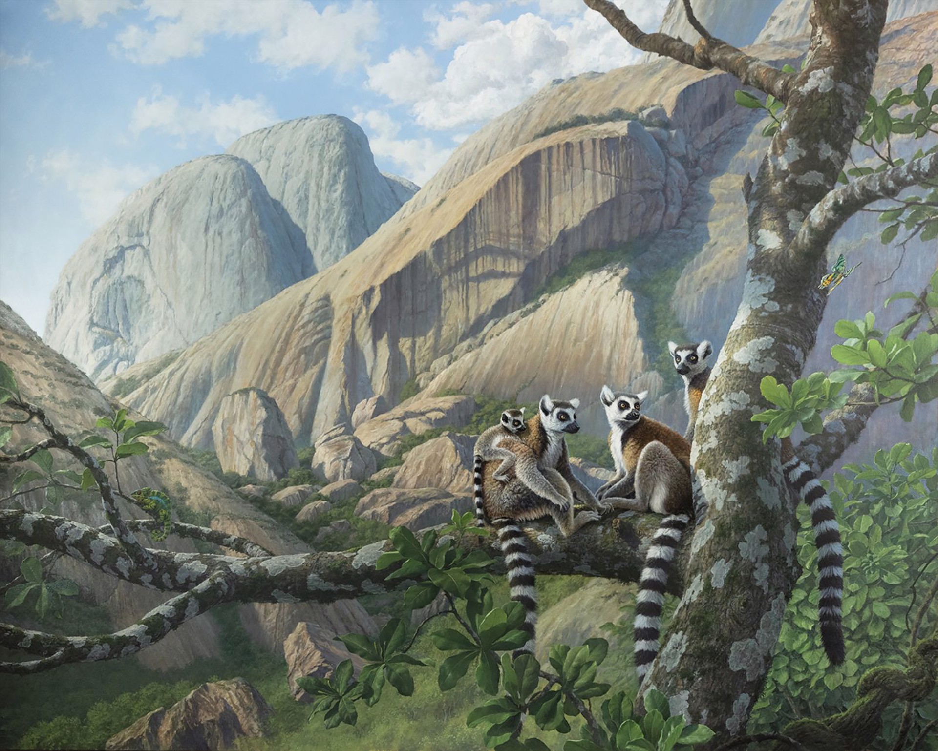 Paisaje de Madagascar con Lemures by Oscar Campos