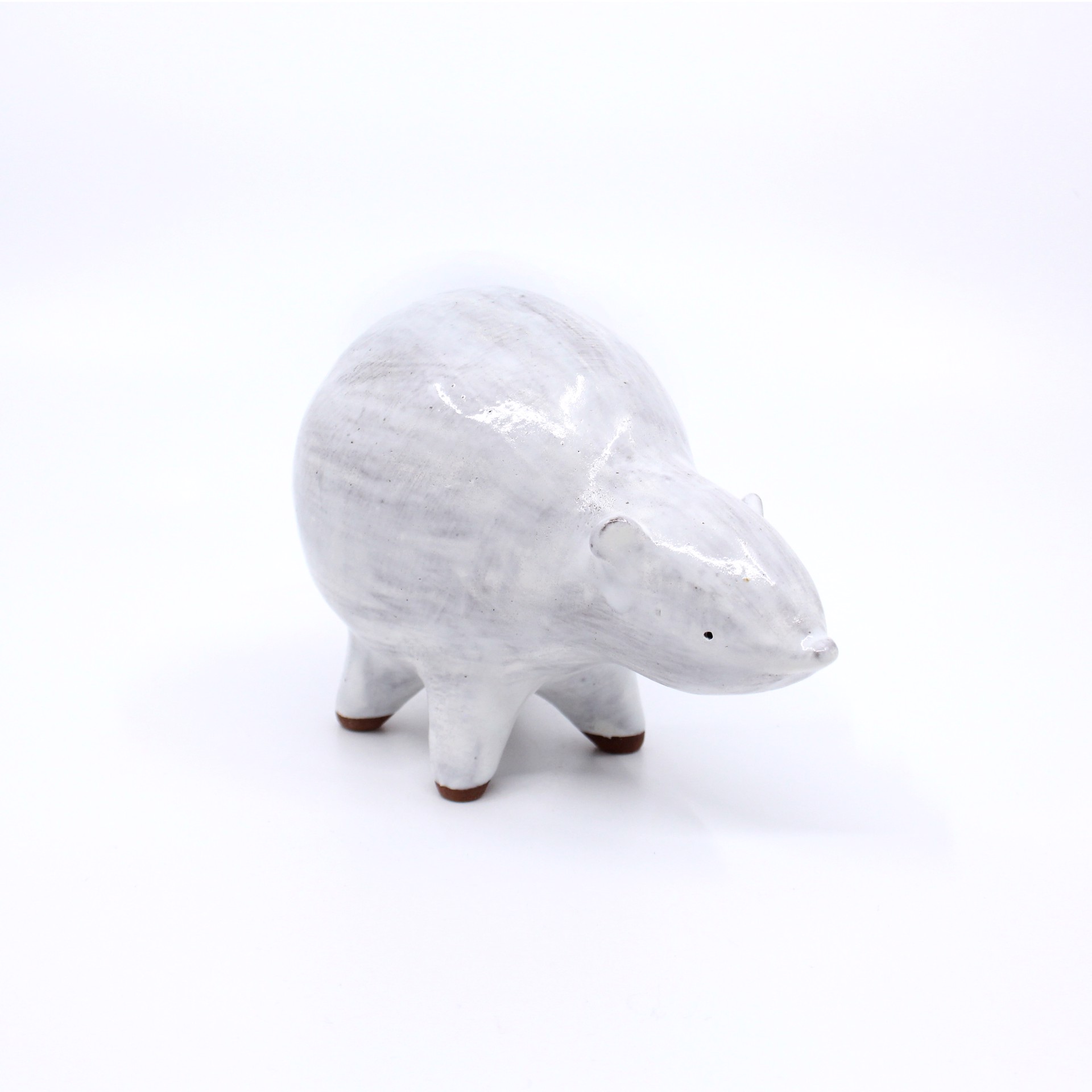 Oso Polar by Iohan Figueroa